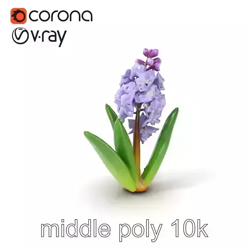 Dwarf Hyacinth Bright Petals Model Pack Low-poly 3D model