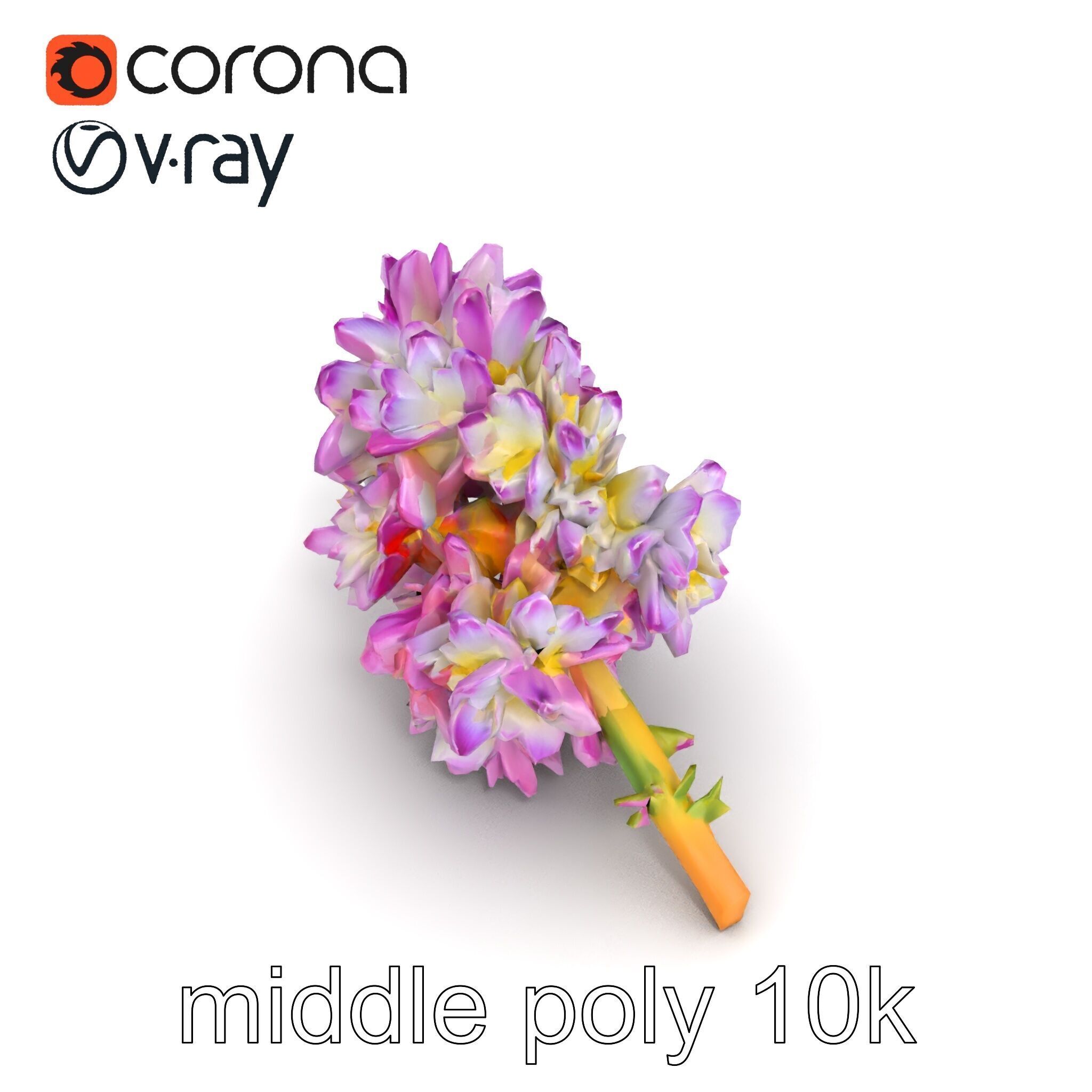 Bicolor Hyacinth Flower Gradient Petal model pack Low-poly 3D model_27