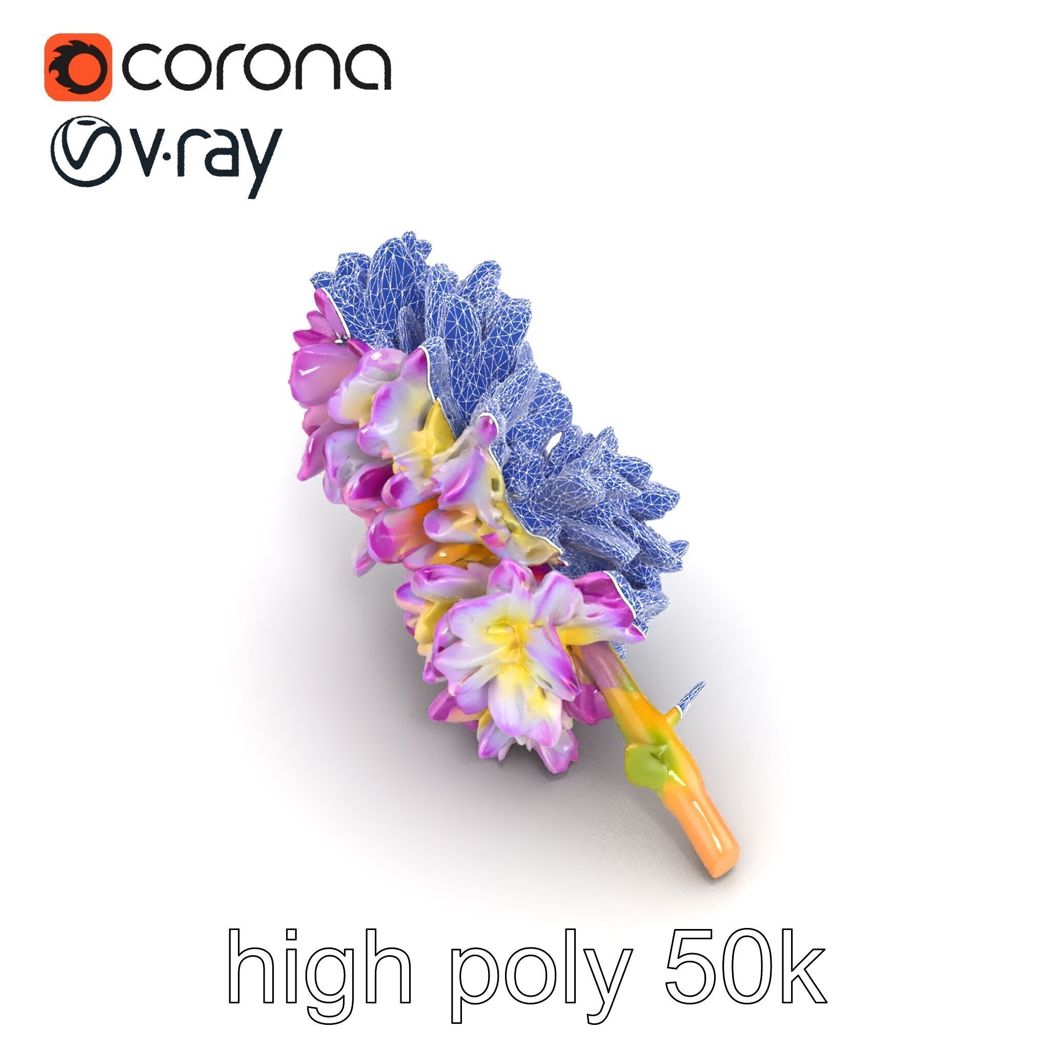 Bicolor Hyacinth Flower Gradient Petal model pack Low-poly 3D model_23
