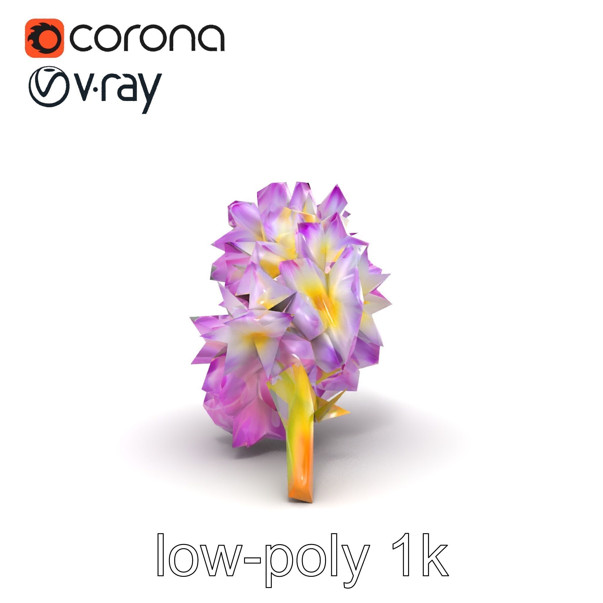 Bicolor Hyacinth Flower Gradient Petal model pack Low-poly 3D model_19