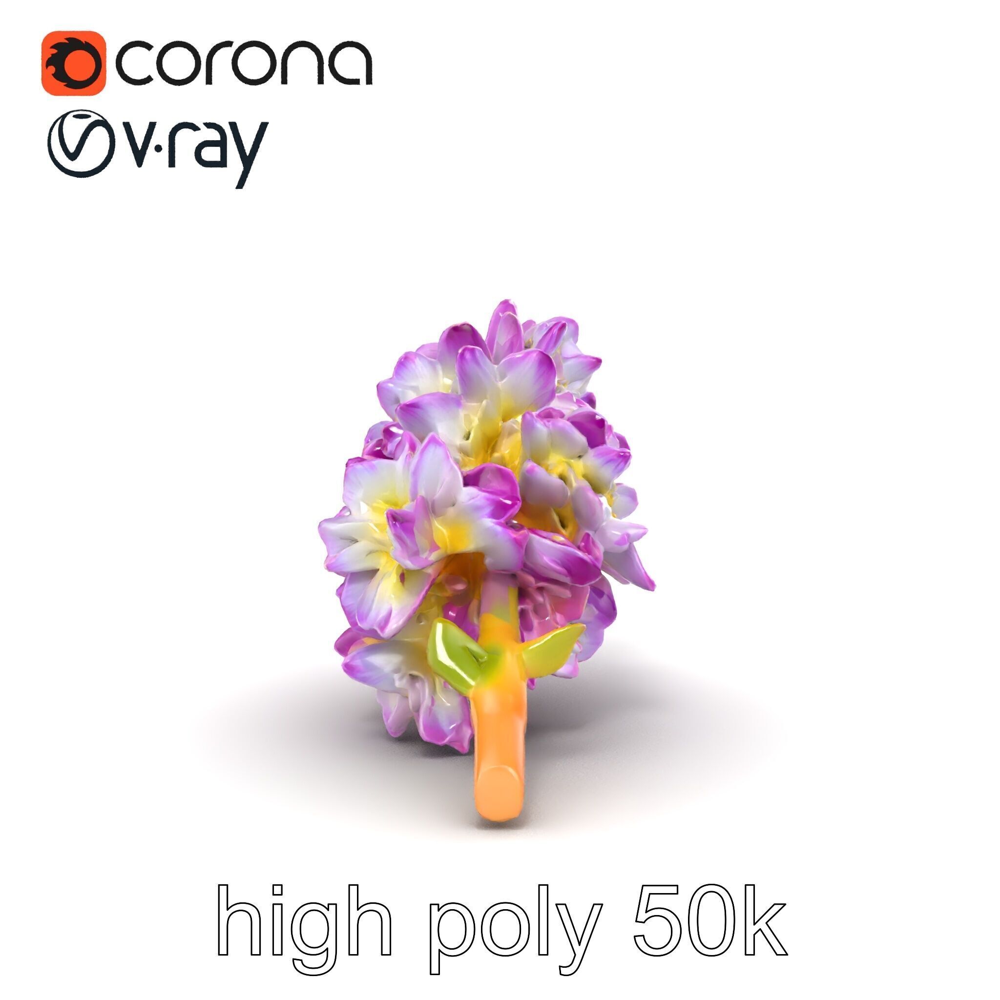 Bicolor Hyacinth Flower Gradient Petal model pack Low-poly 3D model_31