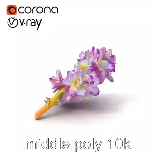 Bicolor Hyacinth Flower Gradient Petal model pack