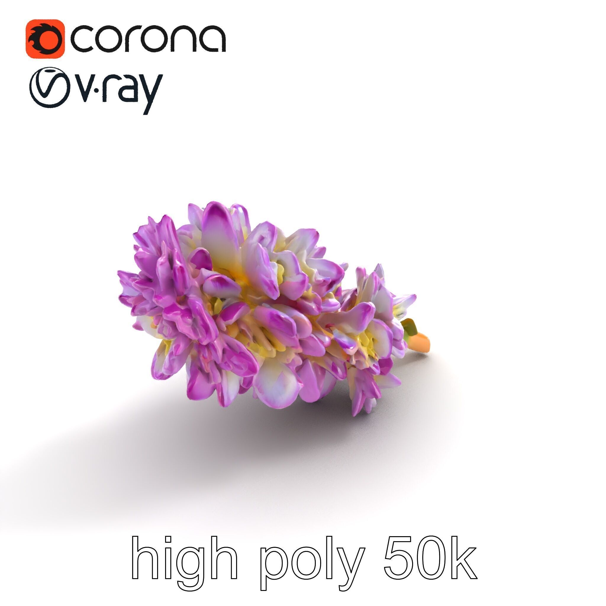 Bicolor Hyacinth Flower Gradient Petal model pack Low-poly 3D model_22