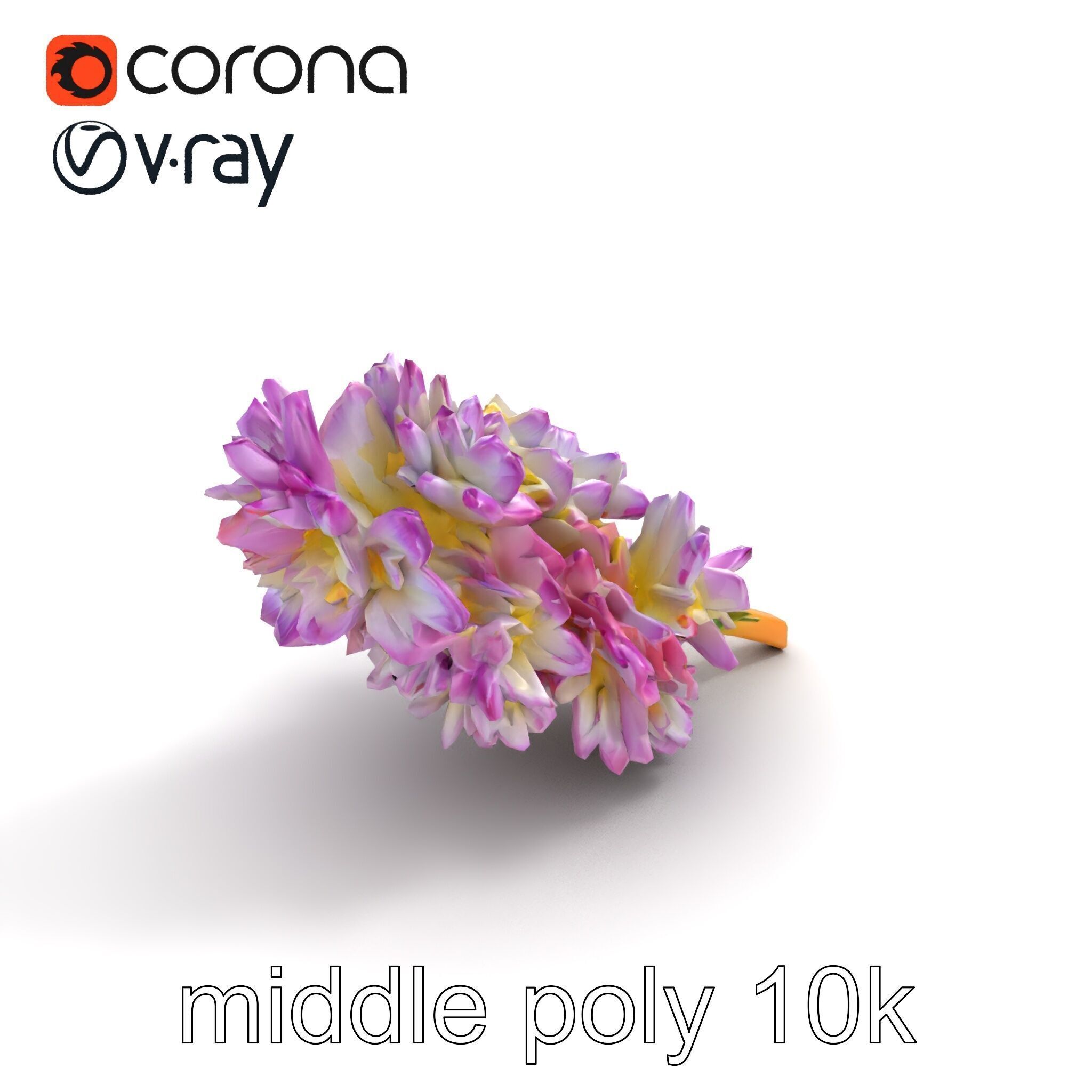 Bicolor Hyacinth Flower Gradient Petal model pack Low-poly 3D model_8