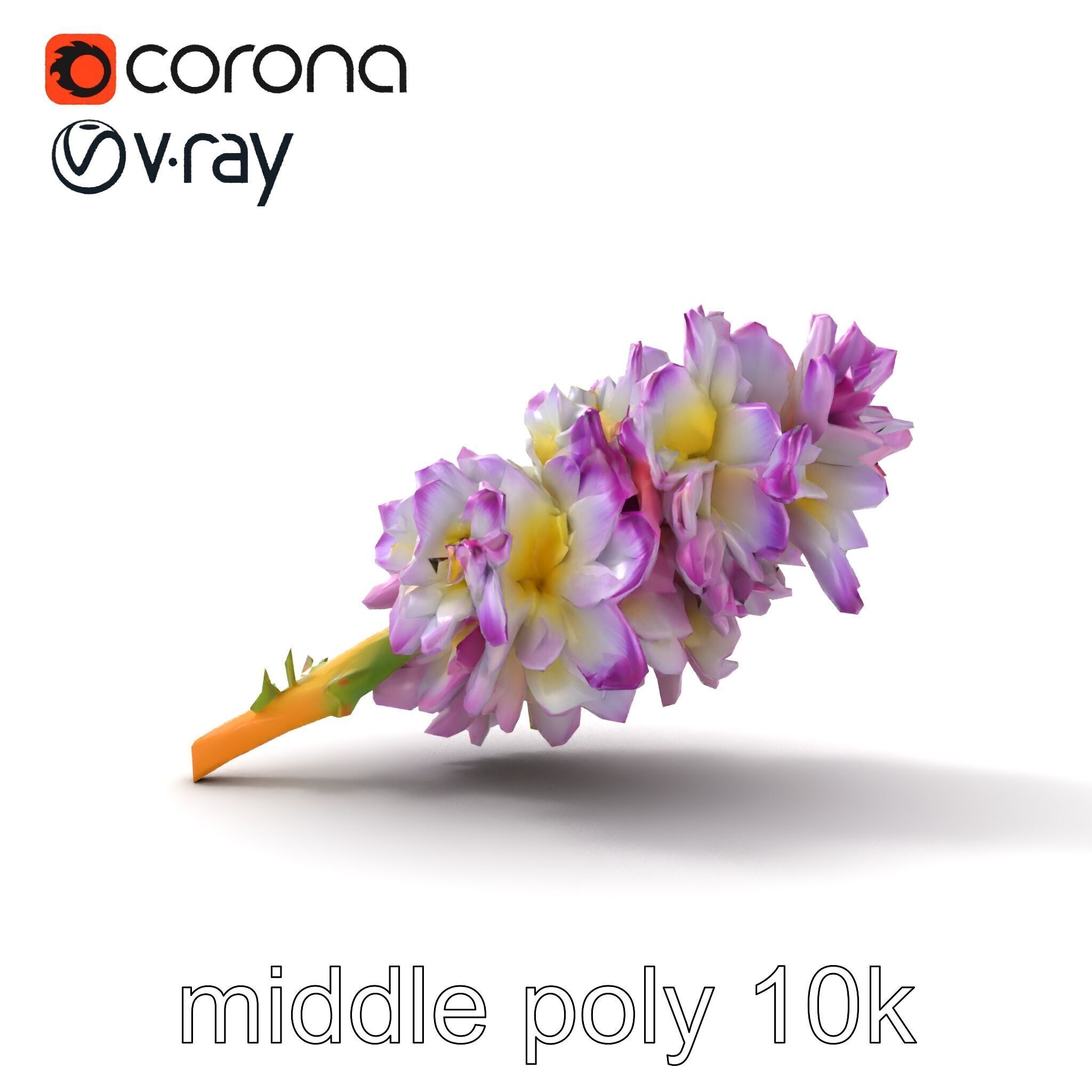 Bicolor Hyacinth Flower Gradient Petal model pack Low-poly 3D model_15