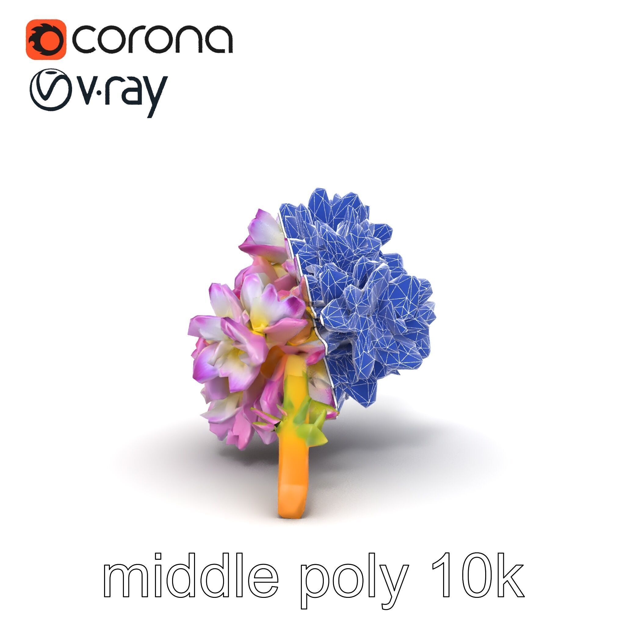 Bicolor Hyacinth Flower Gradient Petal model pack Low-poly 3D model_29