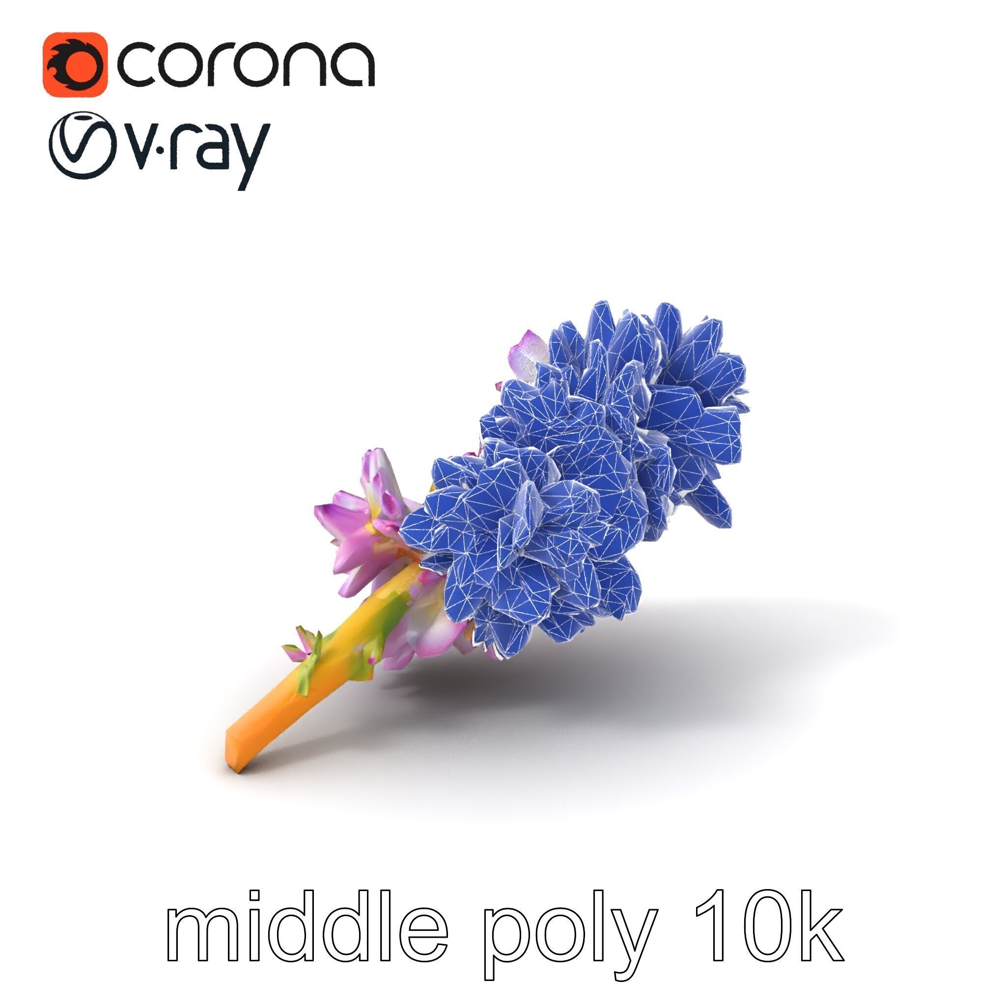 Bicolor Hyacinth Flower Gradient Petal model pack Low-poly 3D model_6