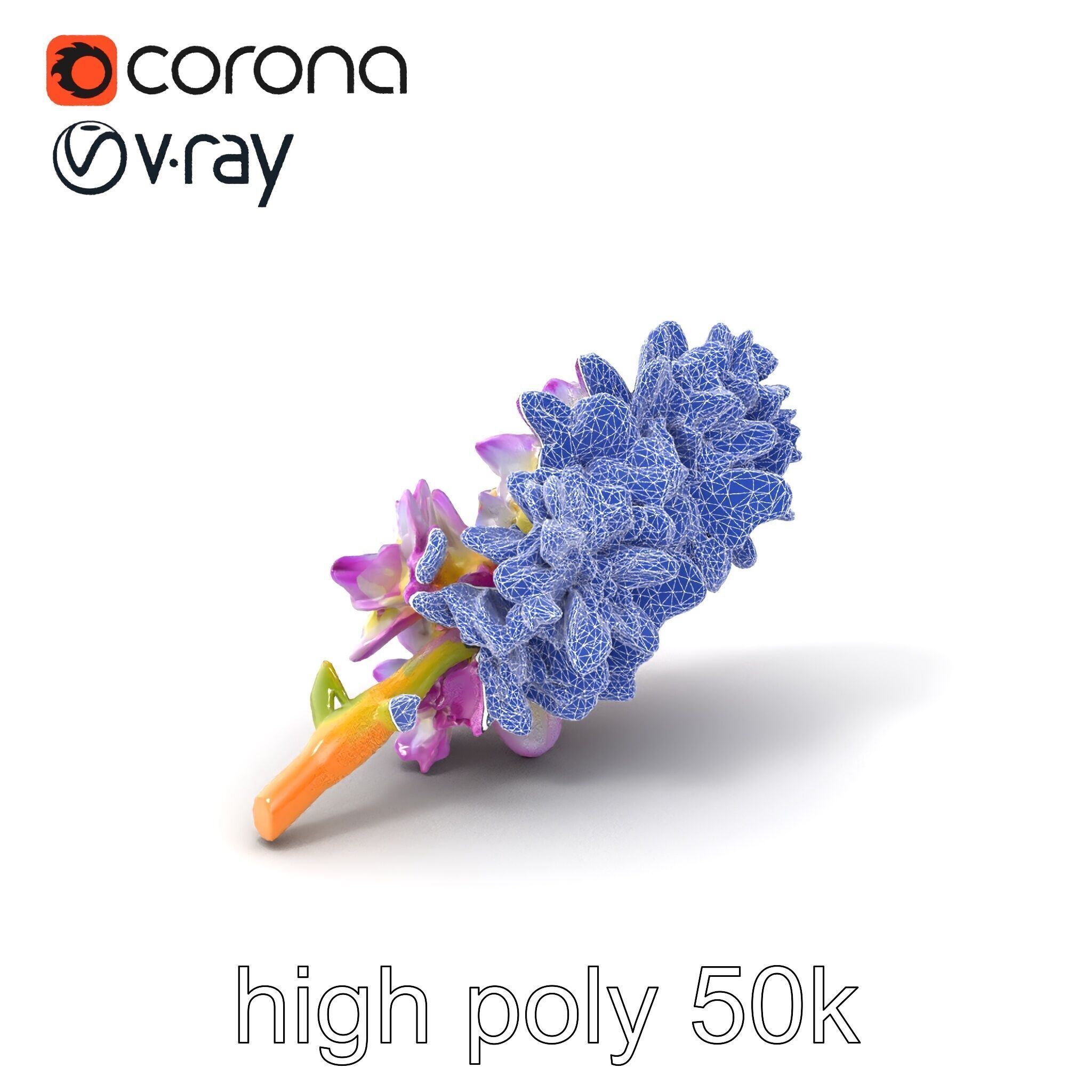 Bicolor Hyacinth Flower Gradient Petal model pack Low-poly 3D model_10