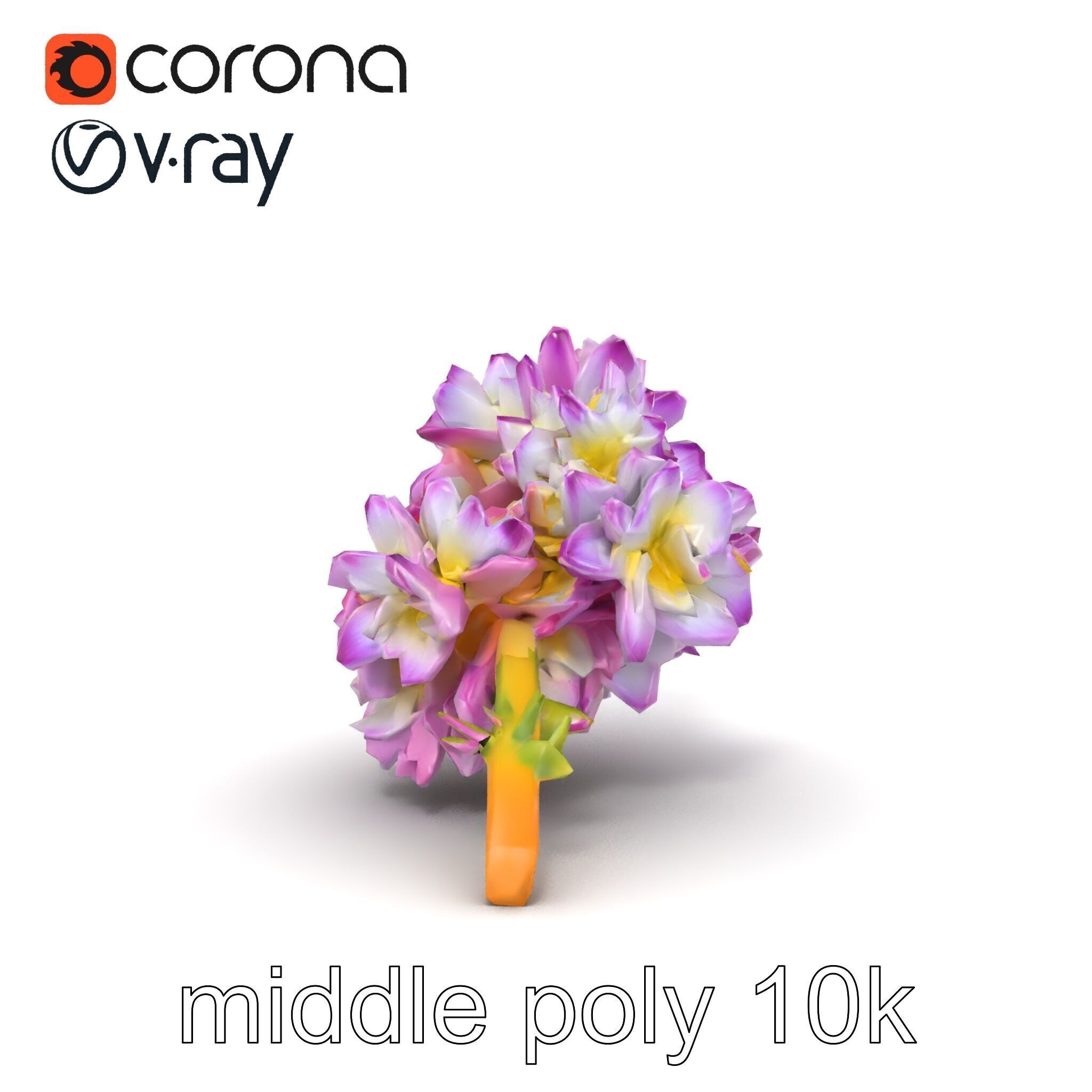 Bicolor Hyacinth Flower Gradient Petal model pack Low-poly 3D model_26