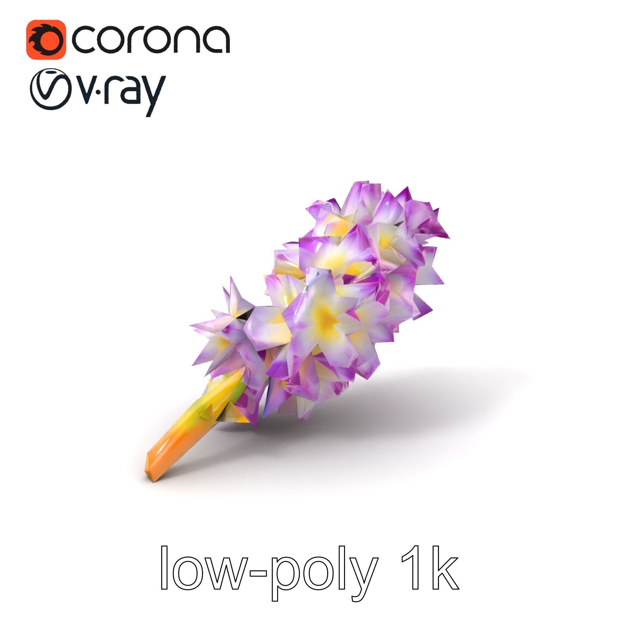 Bicolor Hyacinth Flower Gradient Petal model pack Low-poly 3D model_5