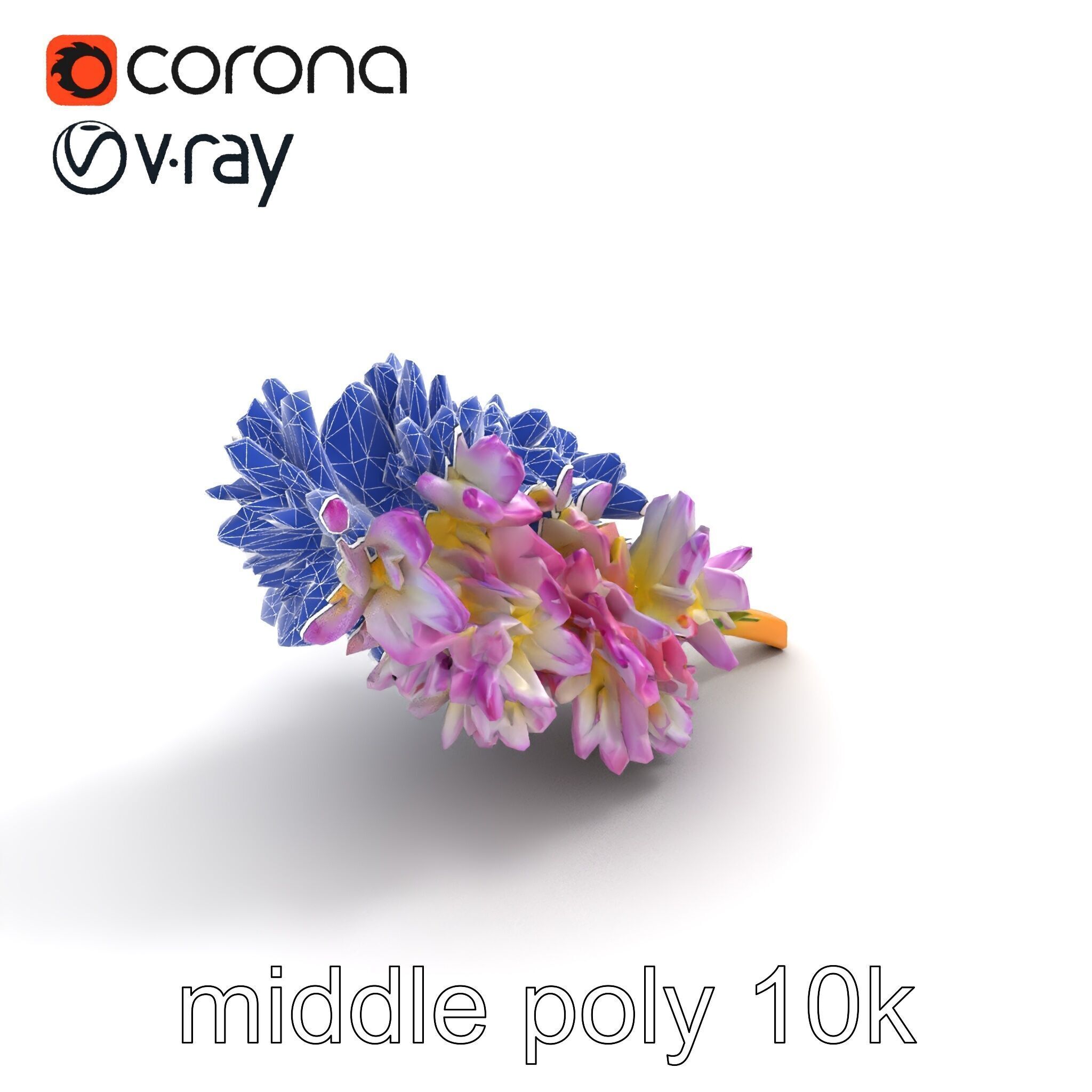 Bicolor Hyacinth Flower Gradient Petal model pack Low-poly 3D model_13