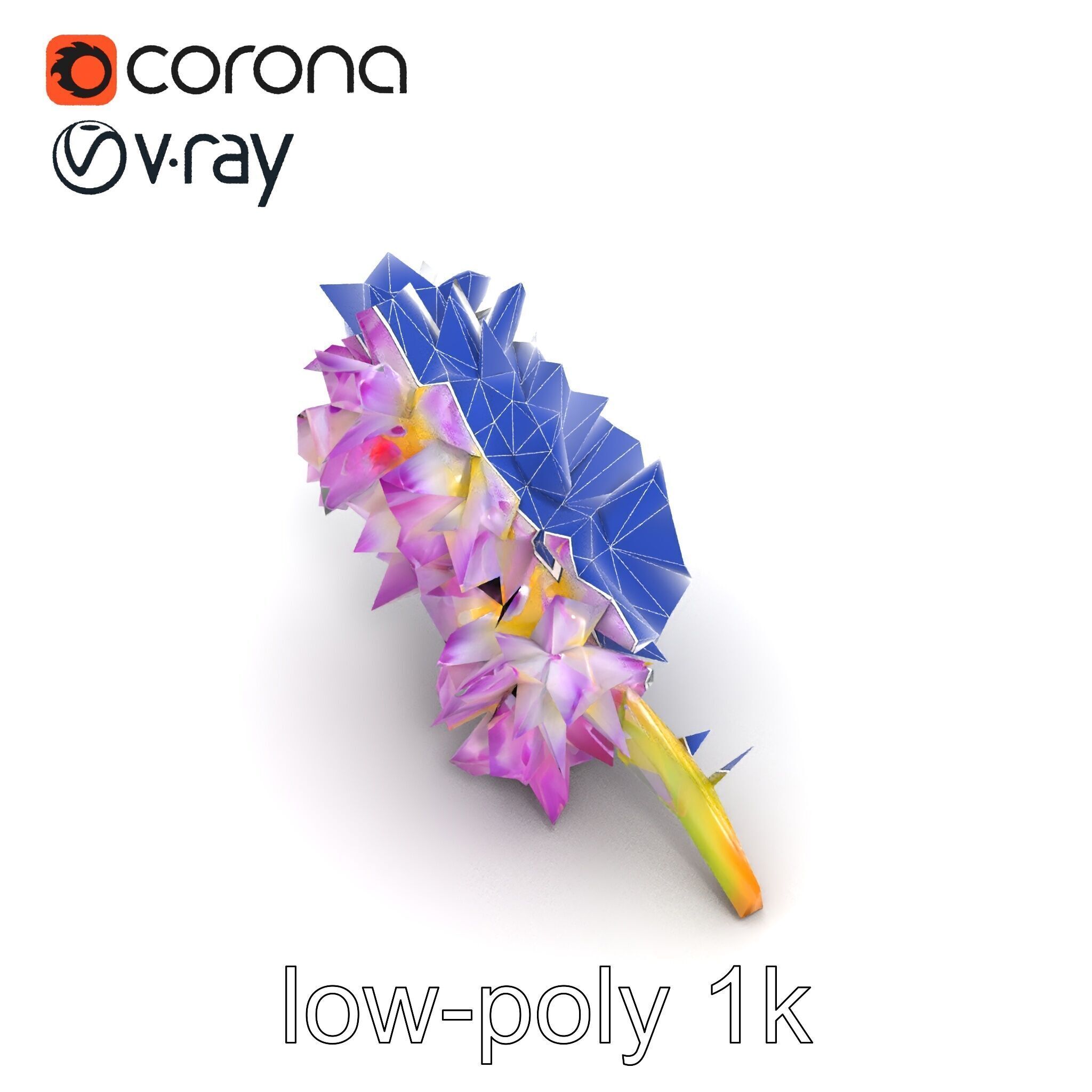 Bicolor Hyacinth Flower Gradient Petal model pack Low-poly 3D model_14