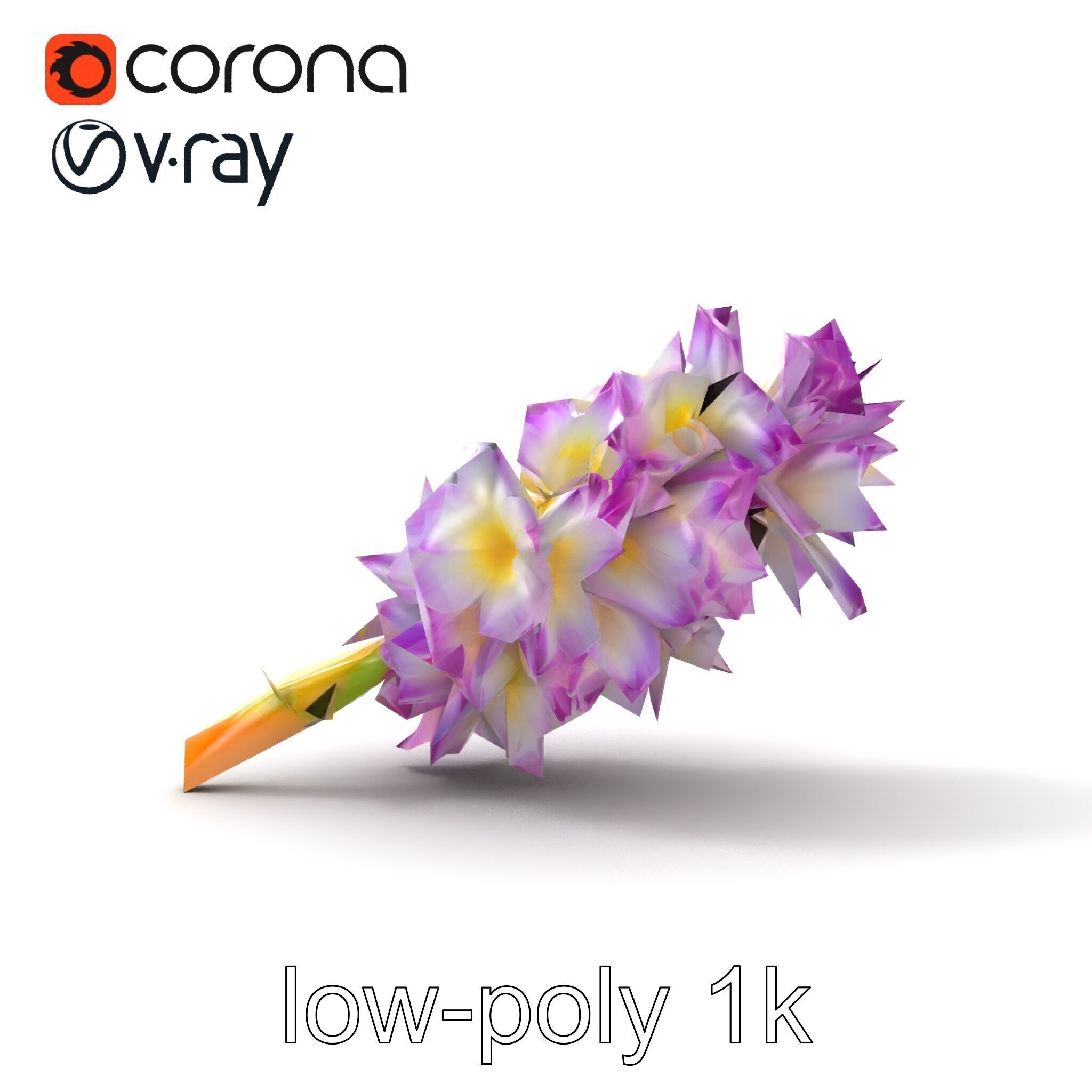 Bicolor Hyacinth Flower Gradient Petal model pack Low-poly 3D model_32