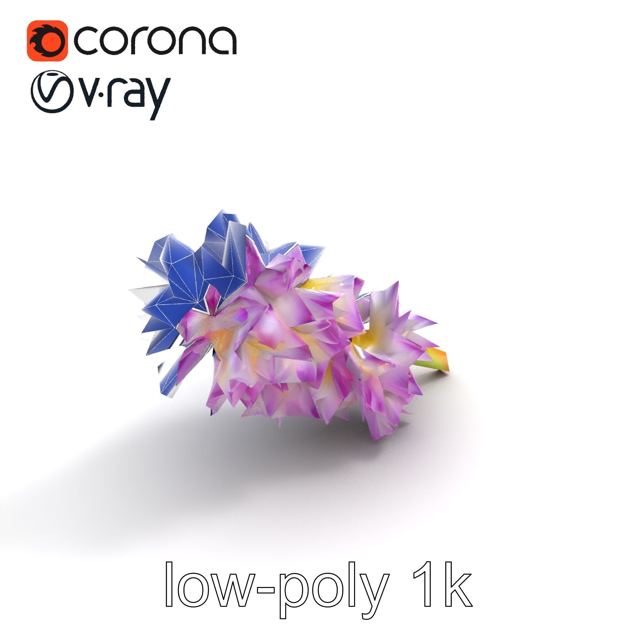 Bicolor Hyacinth Flower Gradient Petal model pack Low-poly 3D model_12