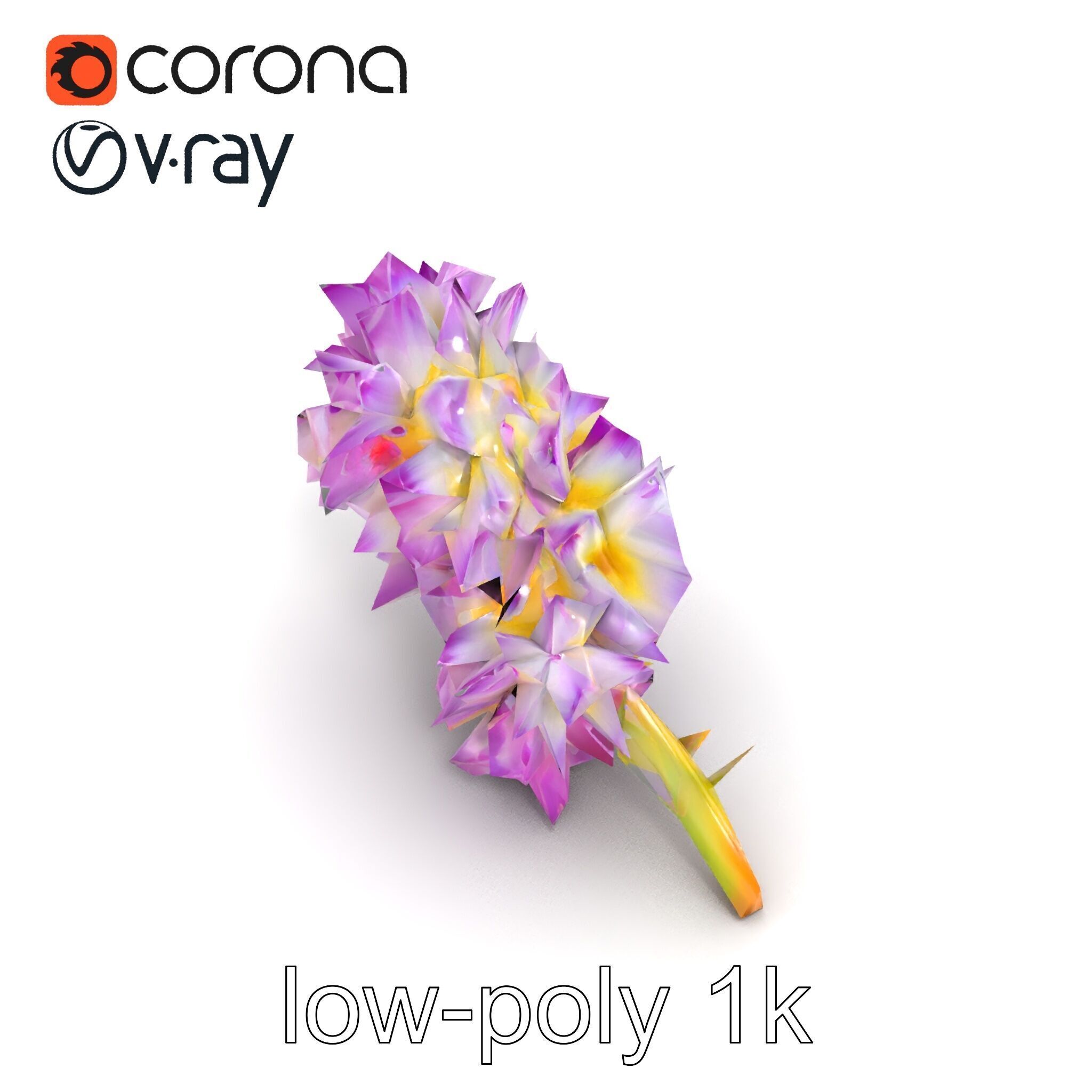 Bicolor Hyacinth Flower Gradient Petal model pack Low-poly 3D model_25