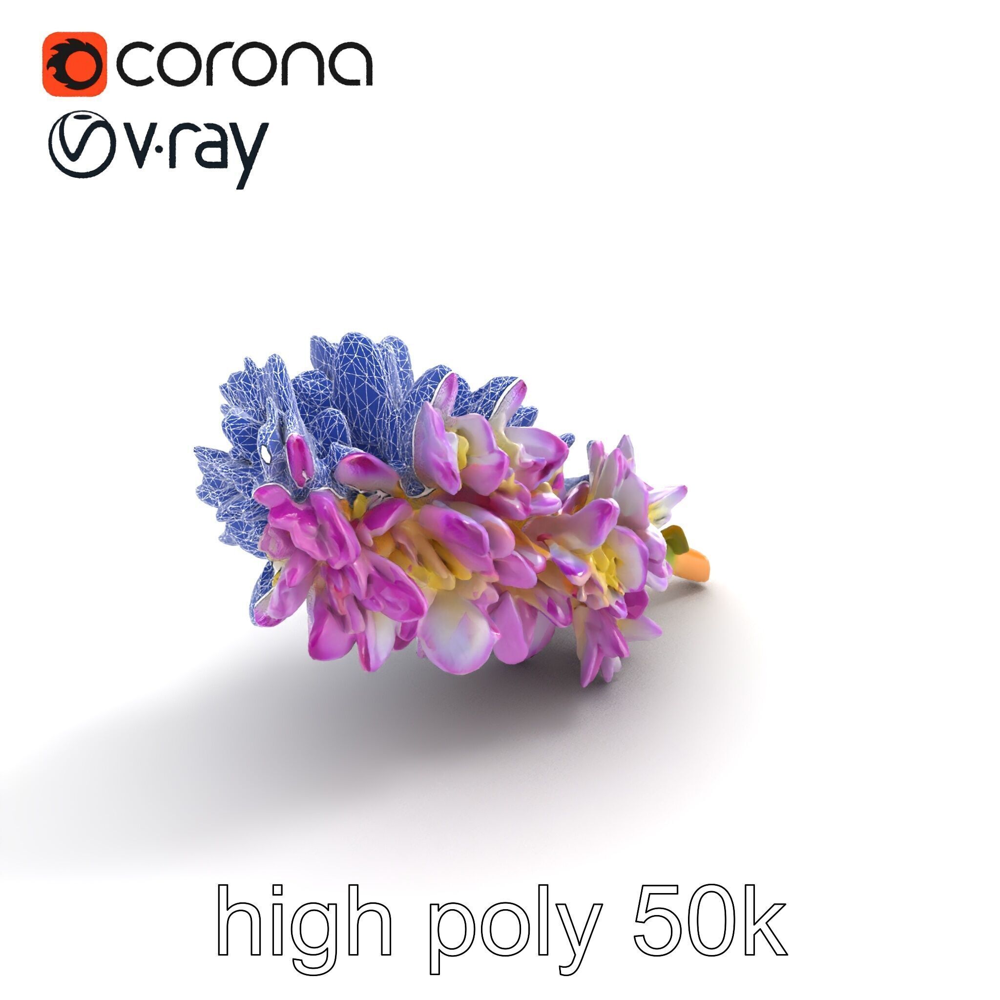 Bicolor Hyacinth Flower Gradient Petal model pack Low-poly 3D model_11