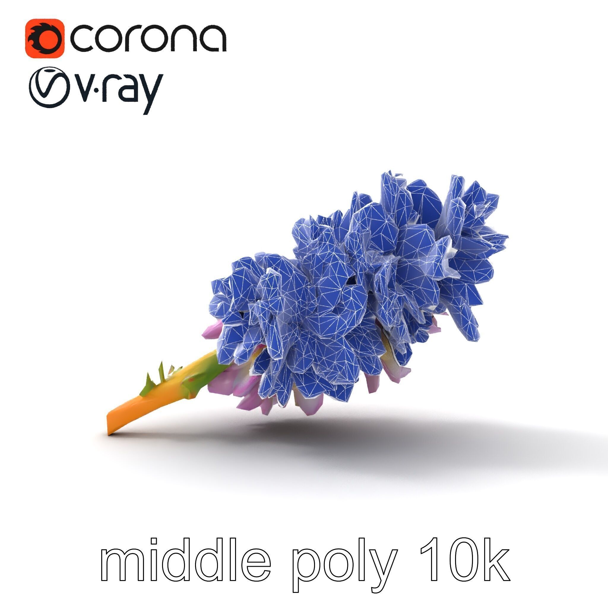 Bicolor Hyacinth Flower Gradient Petal model pack Low-poly 3D model_28