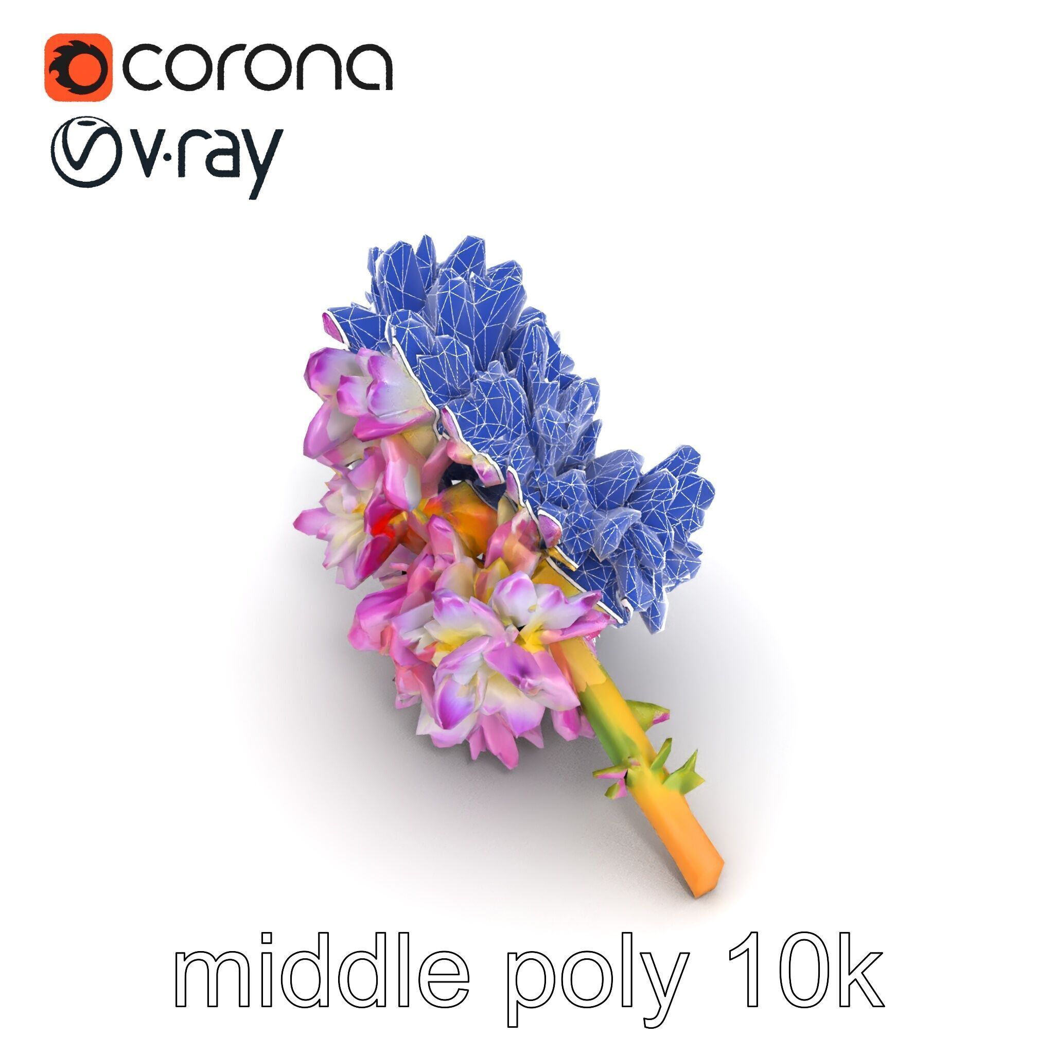 Bicolor Hyacinth Flower Gradient Petal model pack Low-poly 3D model_21