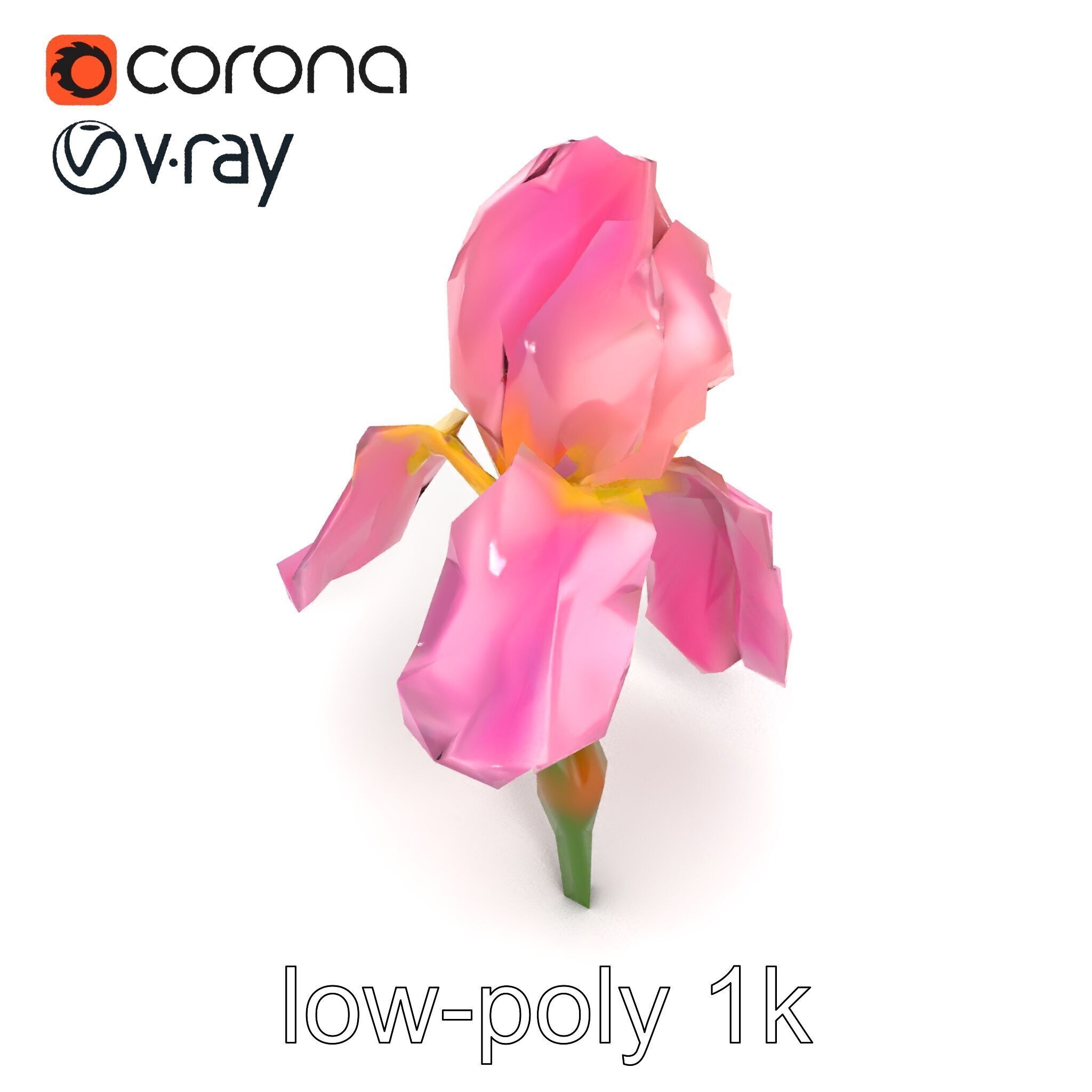 Pink Iris Flower Sculpture model pack Low-poly 3D model_11