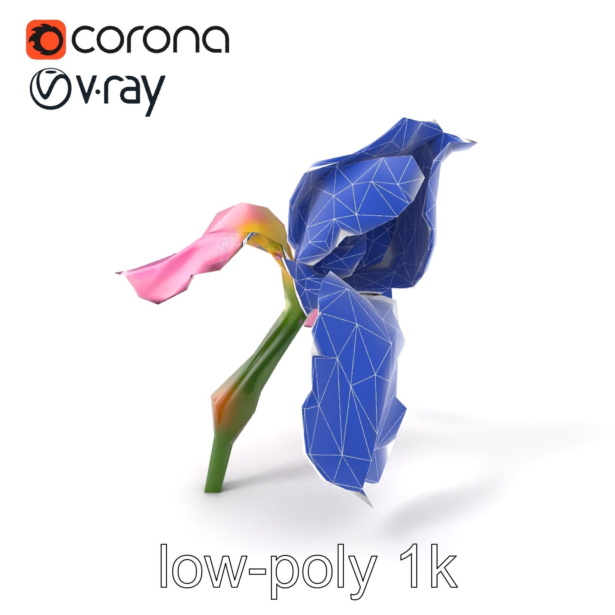 Pink Iris Flower Sculpture model pack Low-poly 3D model_6