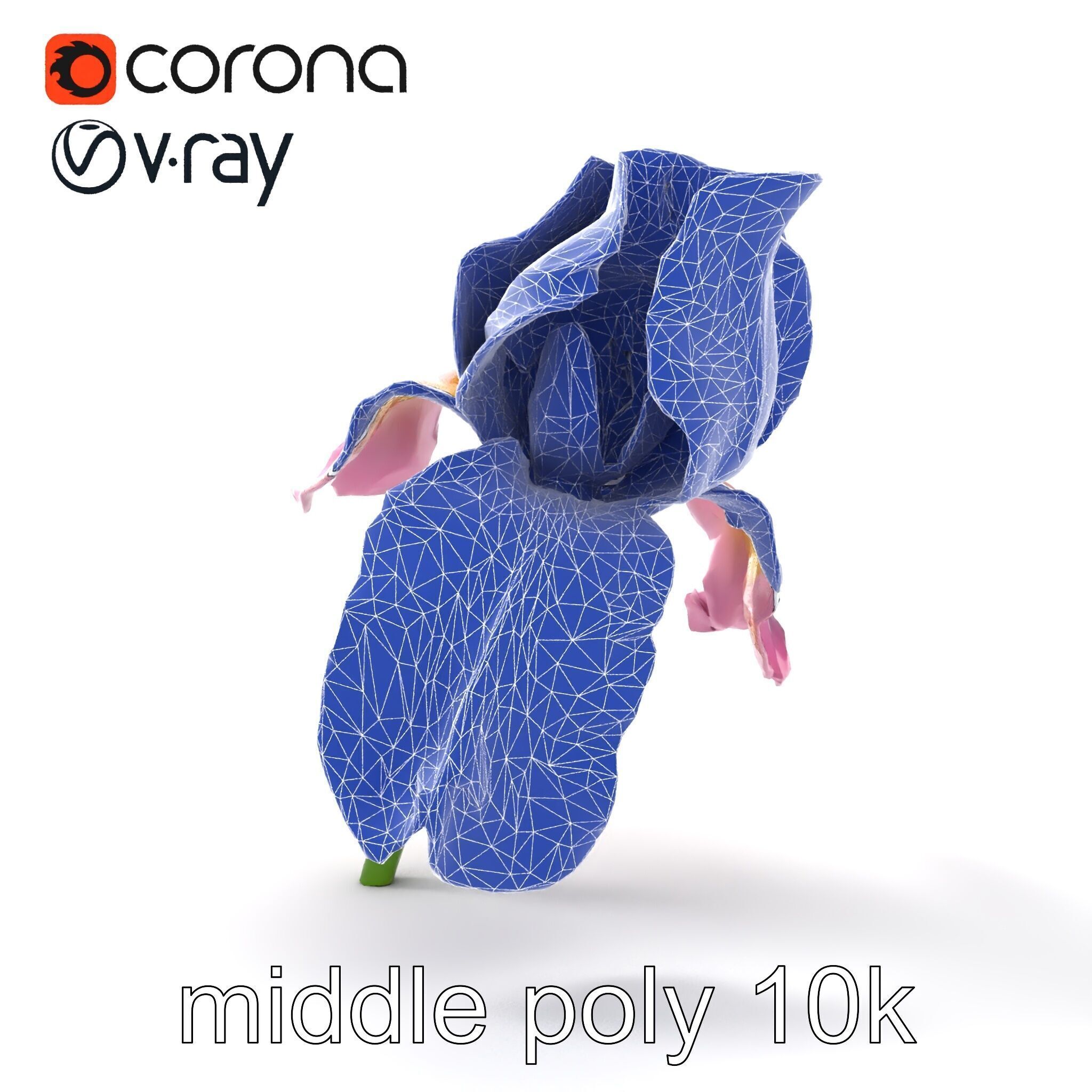 Pink Iris Flower Sculpture model pack Low-poly 3D model_29