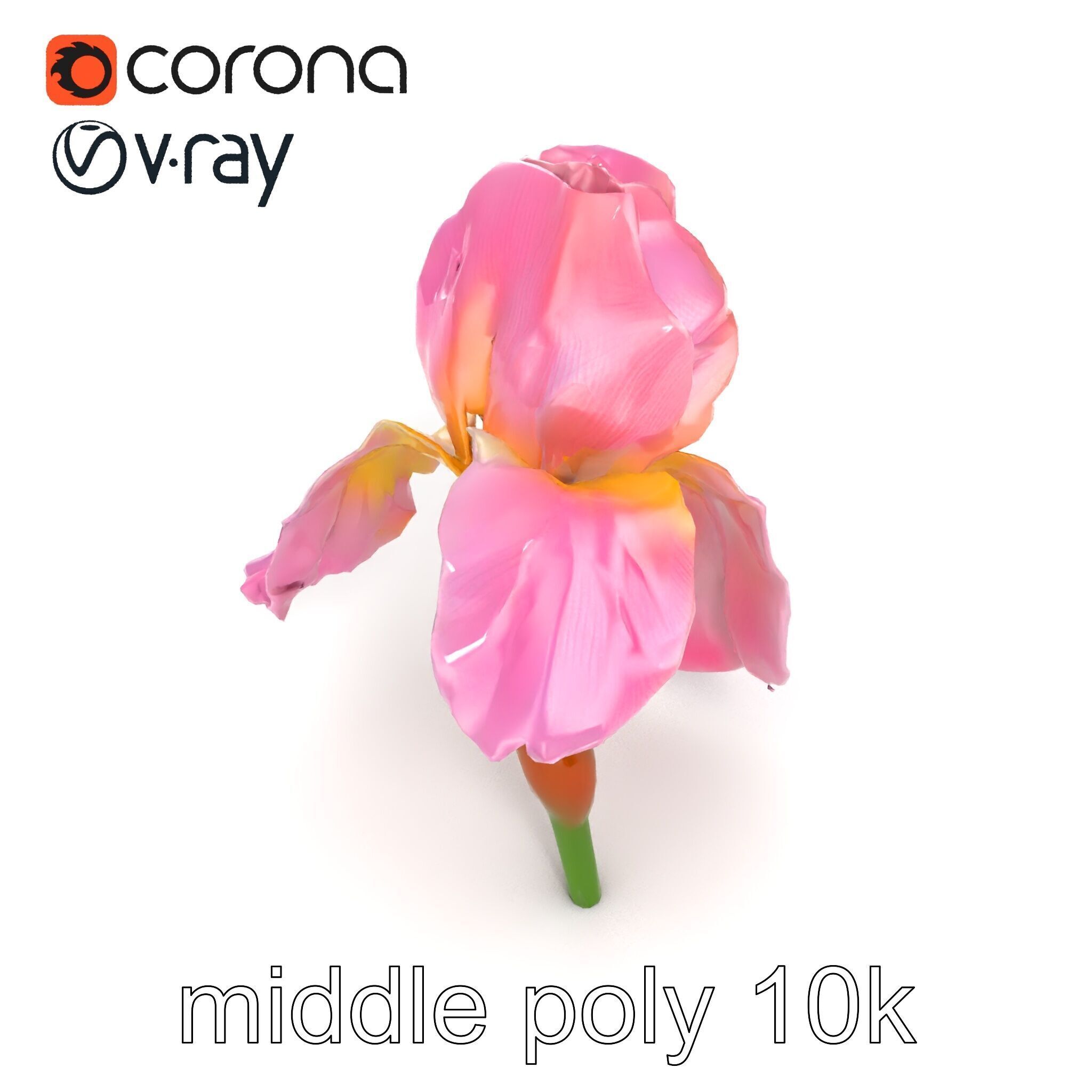 Pink Iris Flower Sculpture model pack Low-poly 3D model_17