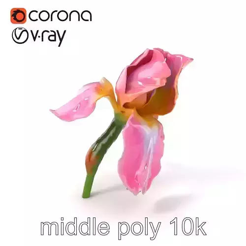 Pink Iris Flower Sculpture model pack Low-poly 3D model