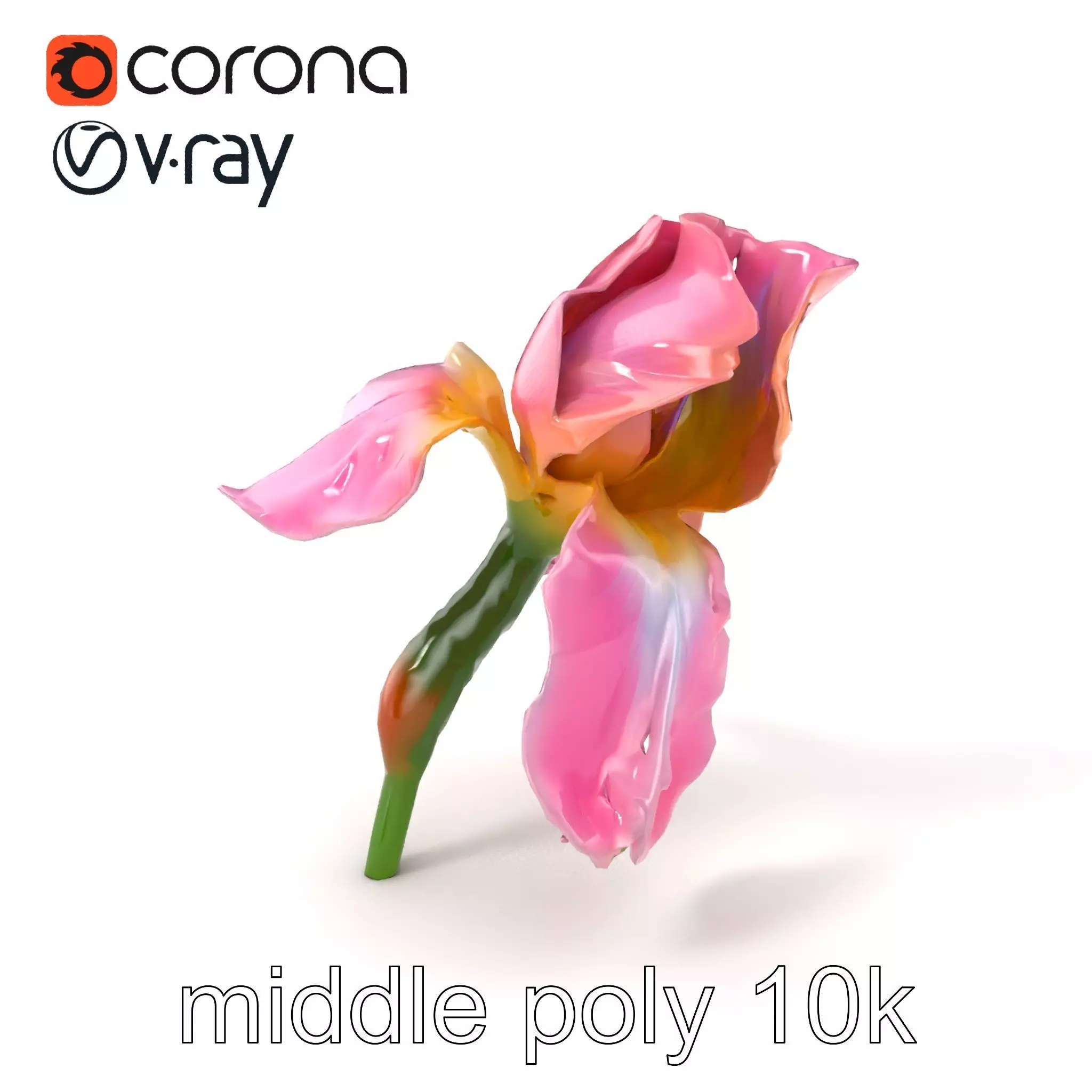 Pink Iris Flower Sculpture model pack Low-poly 3D model_0