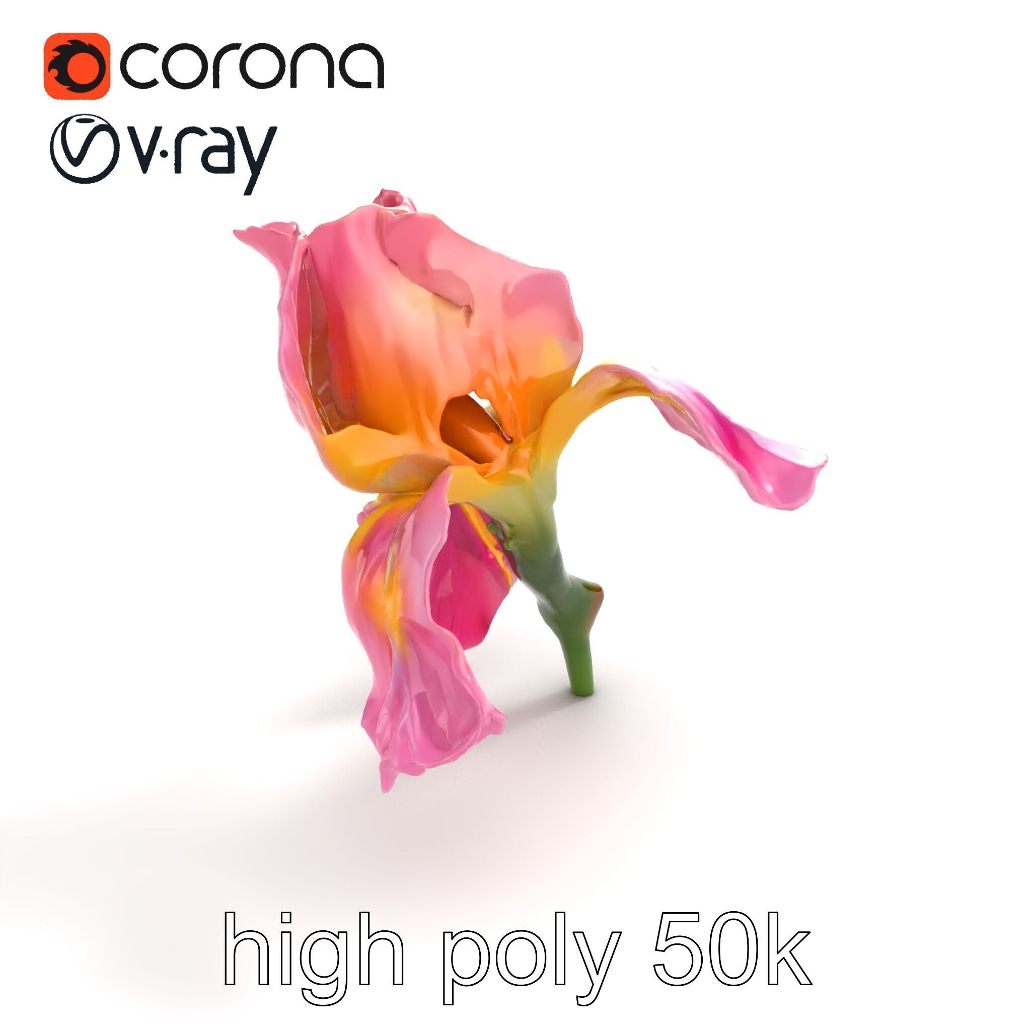 Pink Iris Flower Sculpture model pack Low-poly 3D model_9