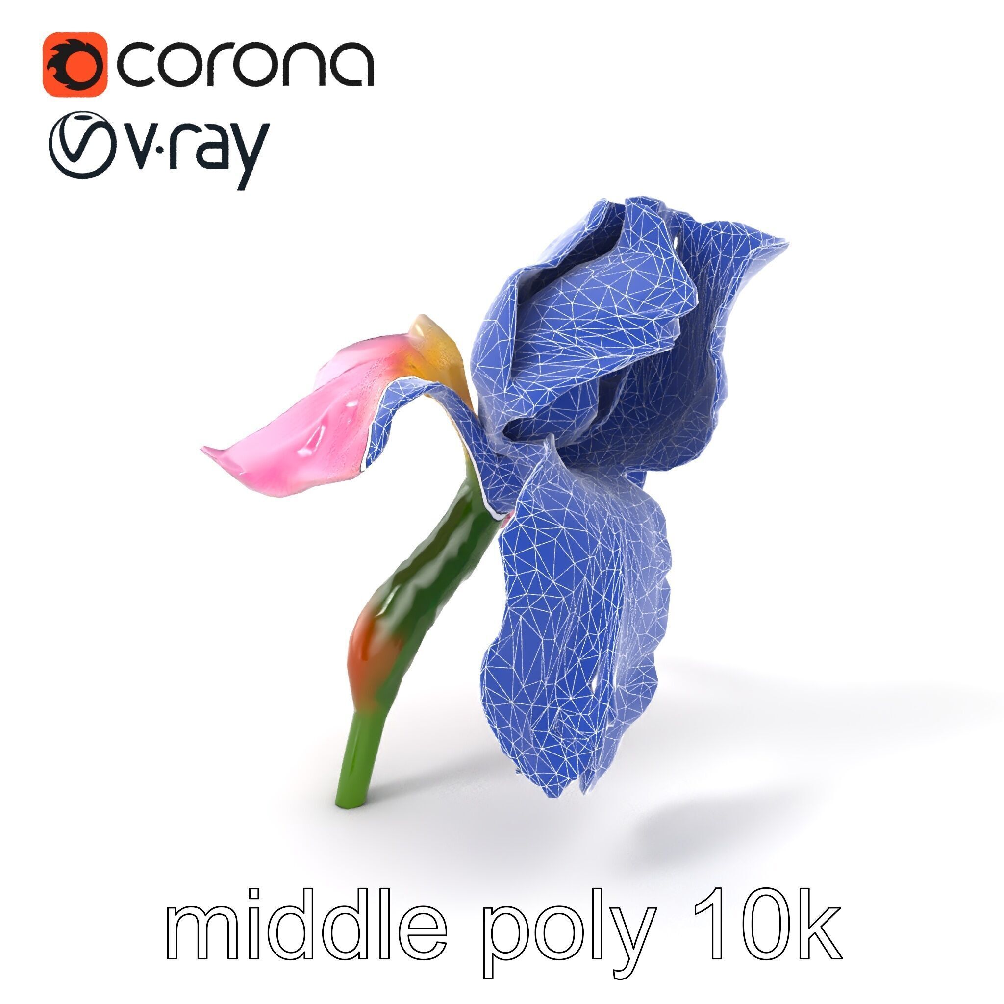 Pink Iris Flower Sculpture model pack Low-poly 3D model_5