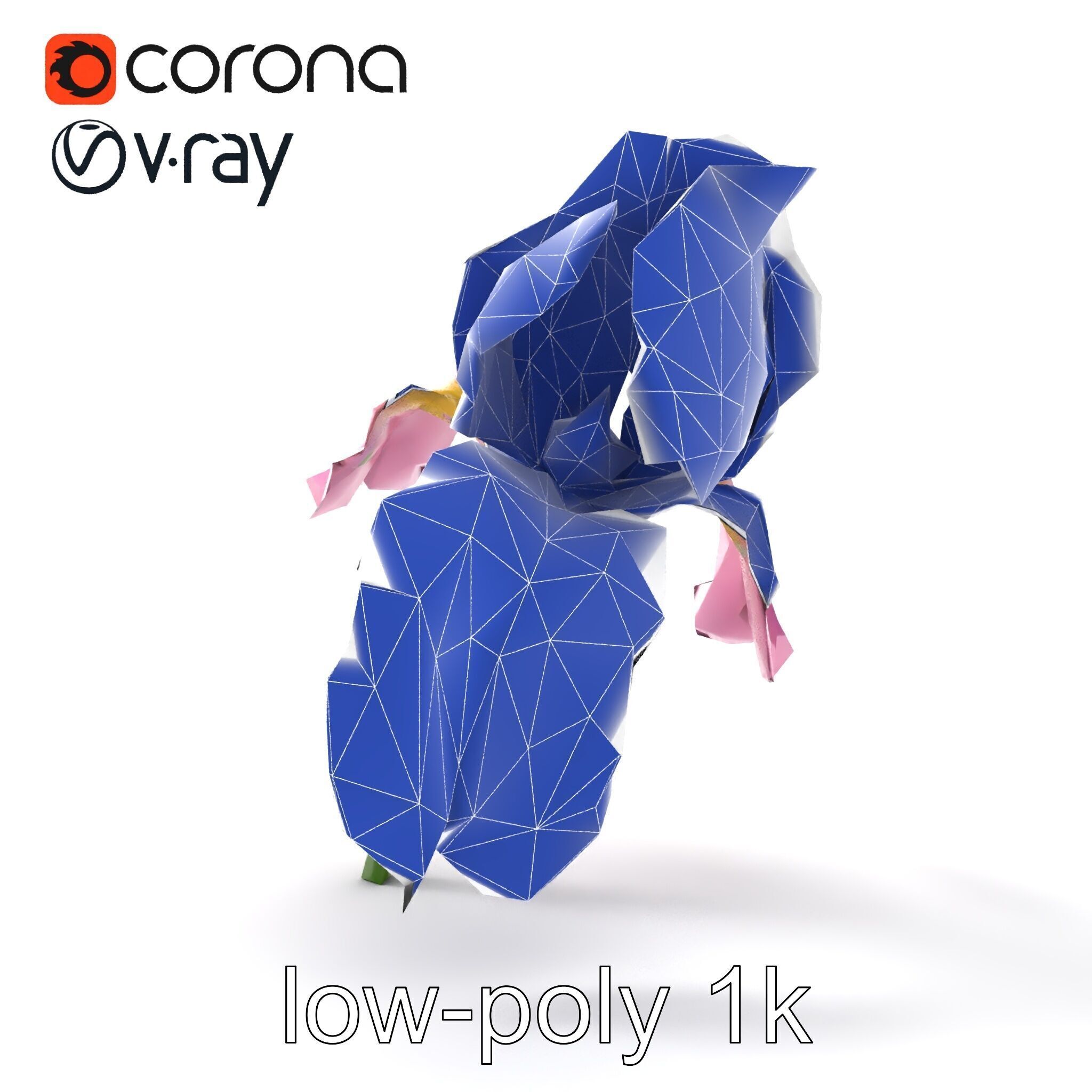 Pink Iris Flower Sculpture model pack Low-poly 3D model_15