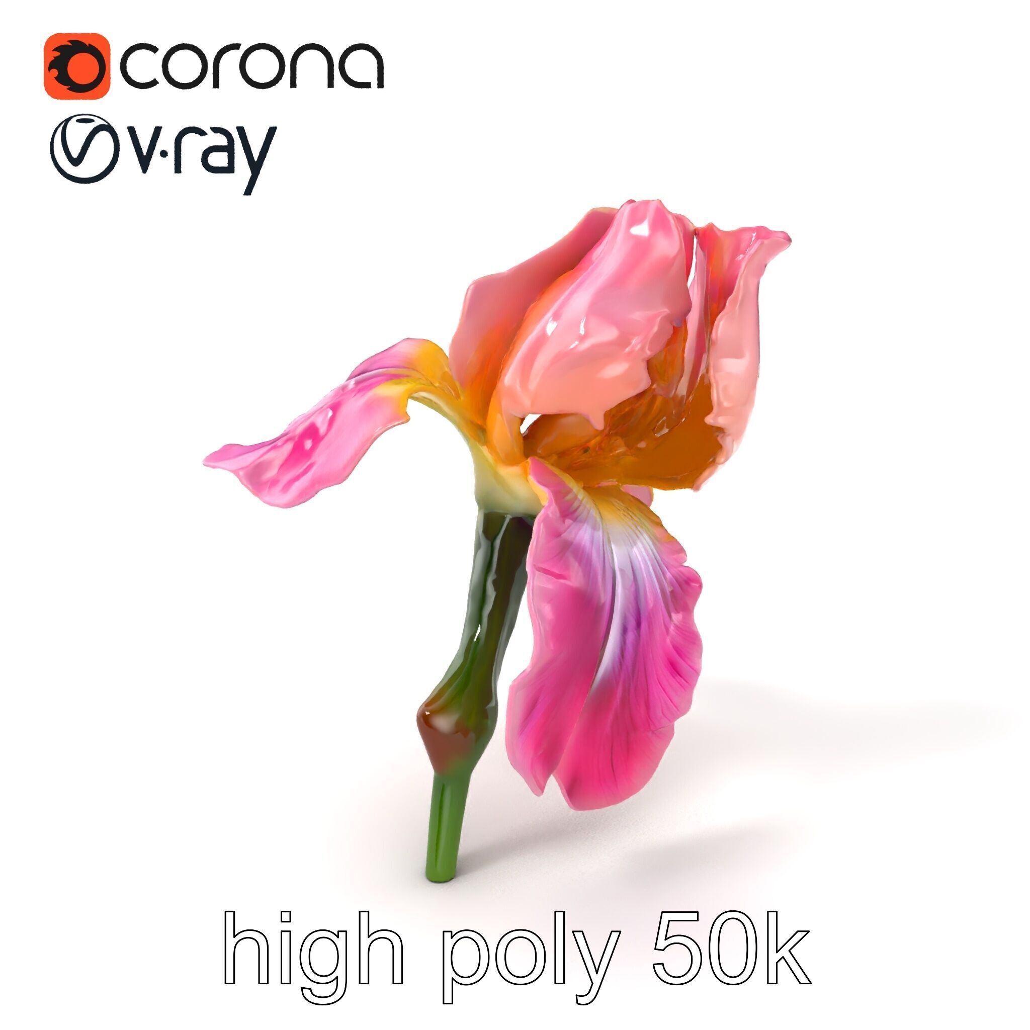 Pink Iris Flower Sculpture model pack Low-poly 3D model_2