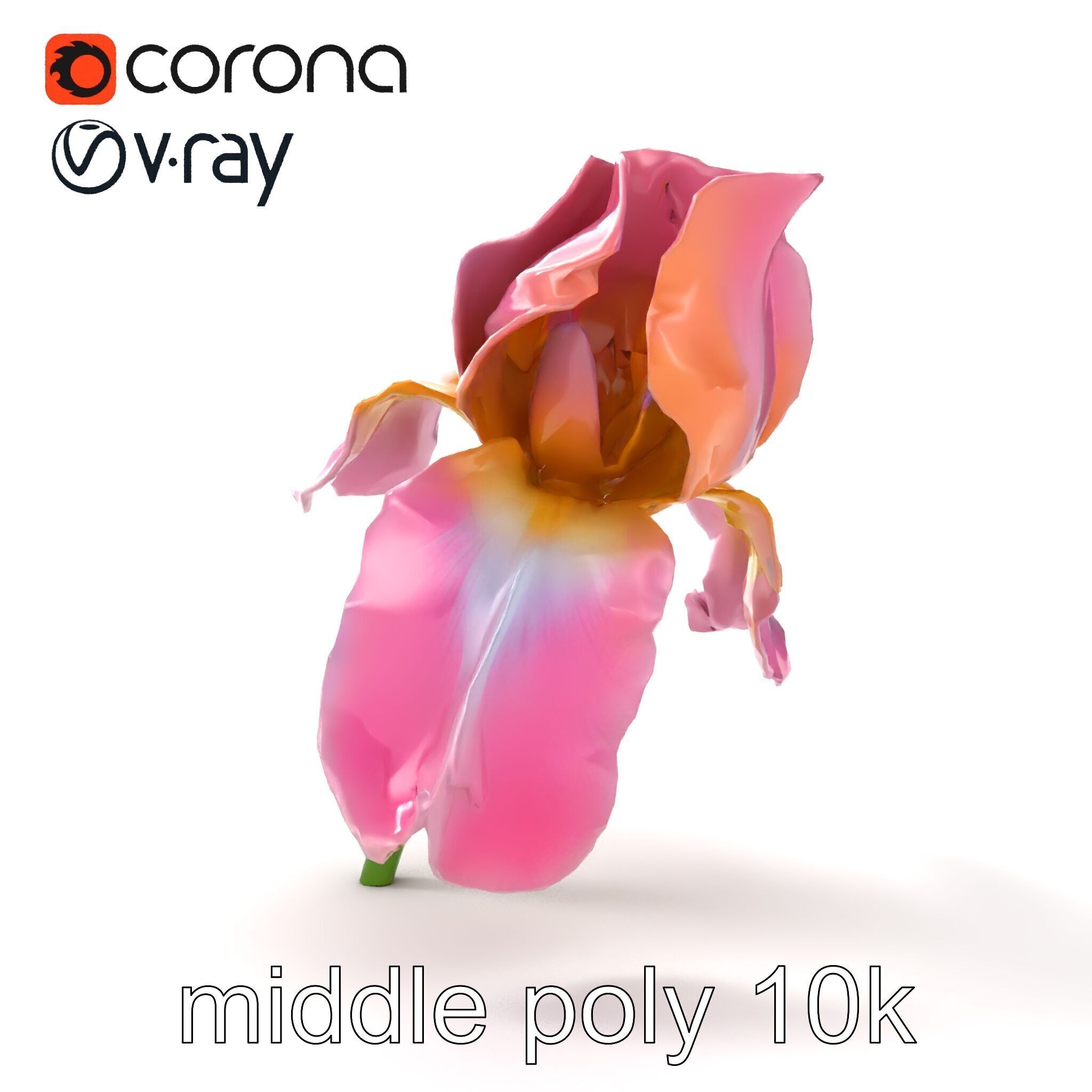 Pink Iris Flower Sculpture model pack Low-poly 3D model_18