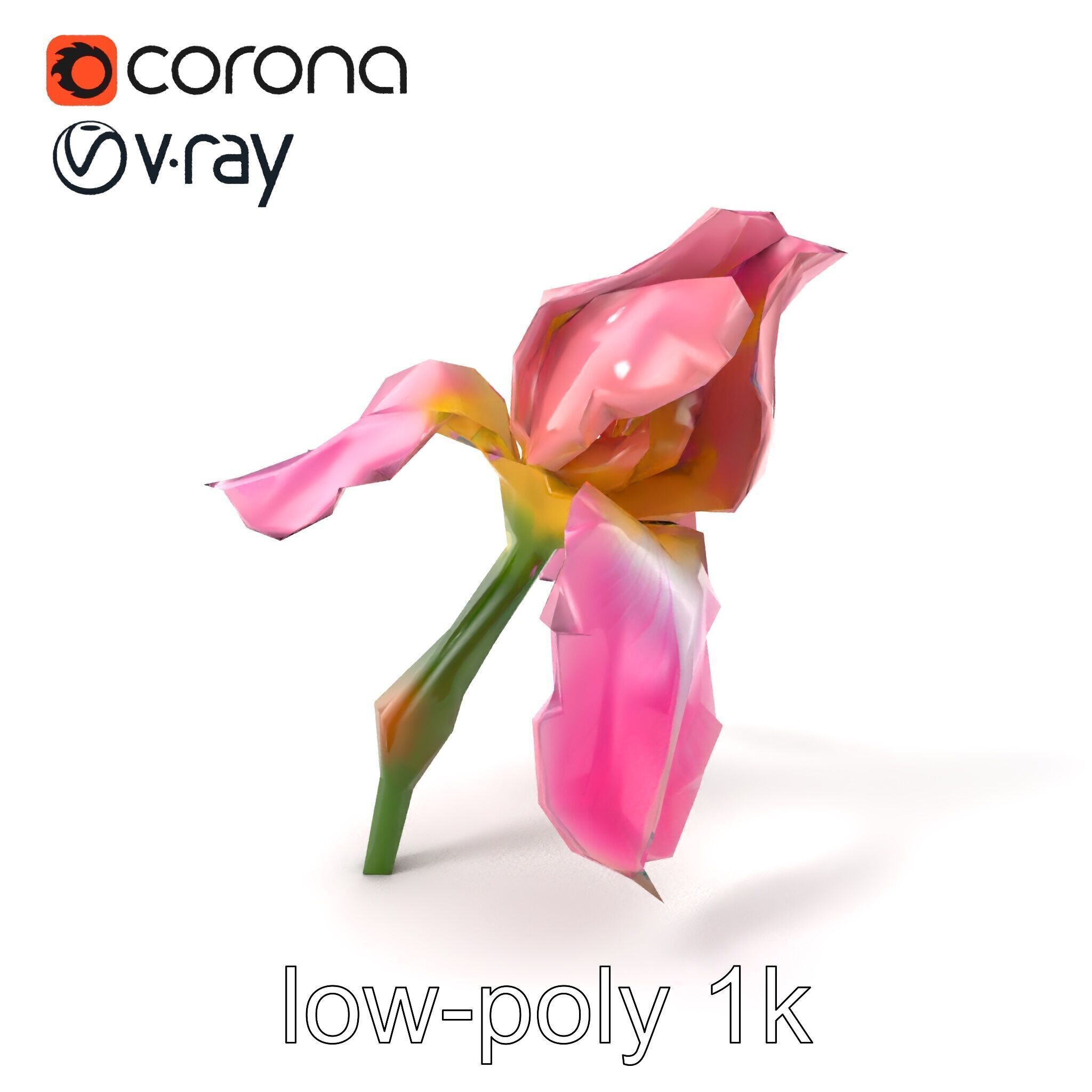 Pink Iris Flower Sculpture model pack Low-poly 3D model_4