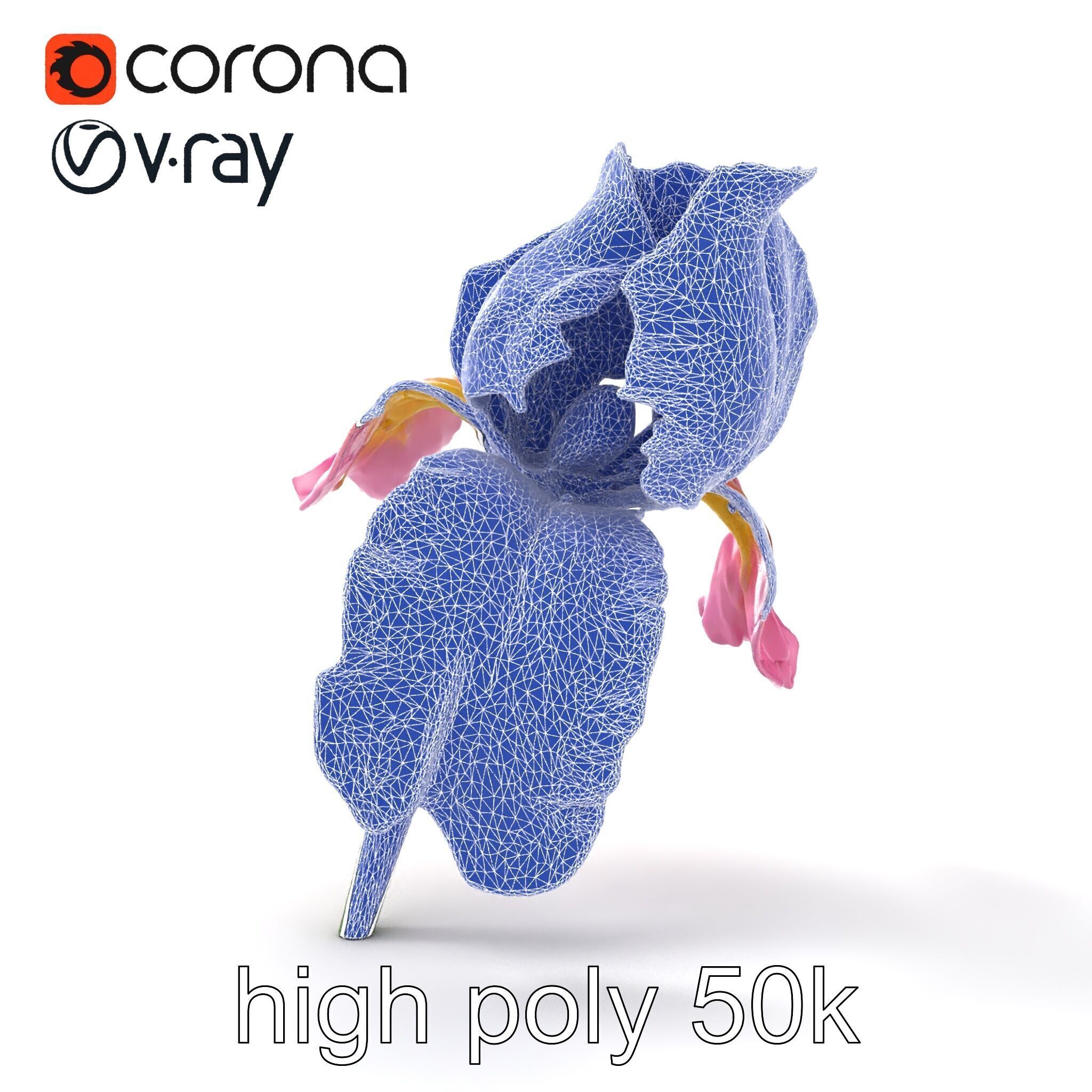 Pink Iris Flower Sculpture model pack Low-poly 3D model_30