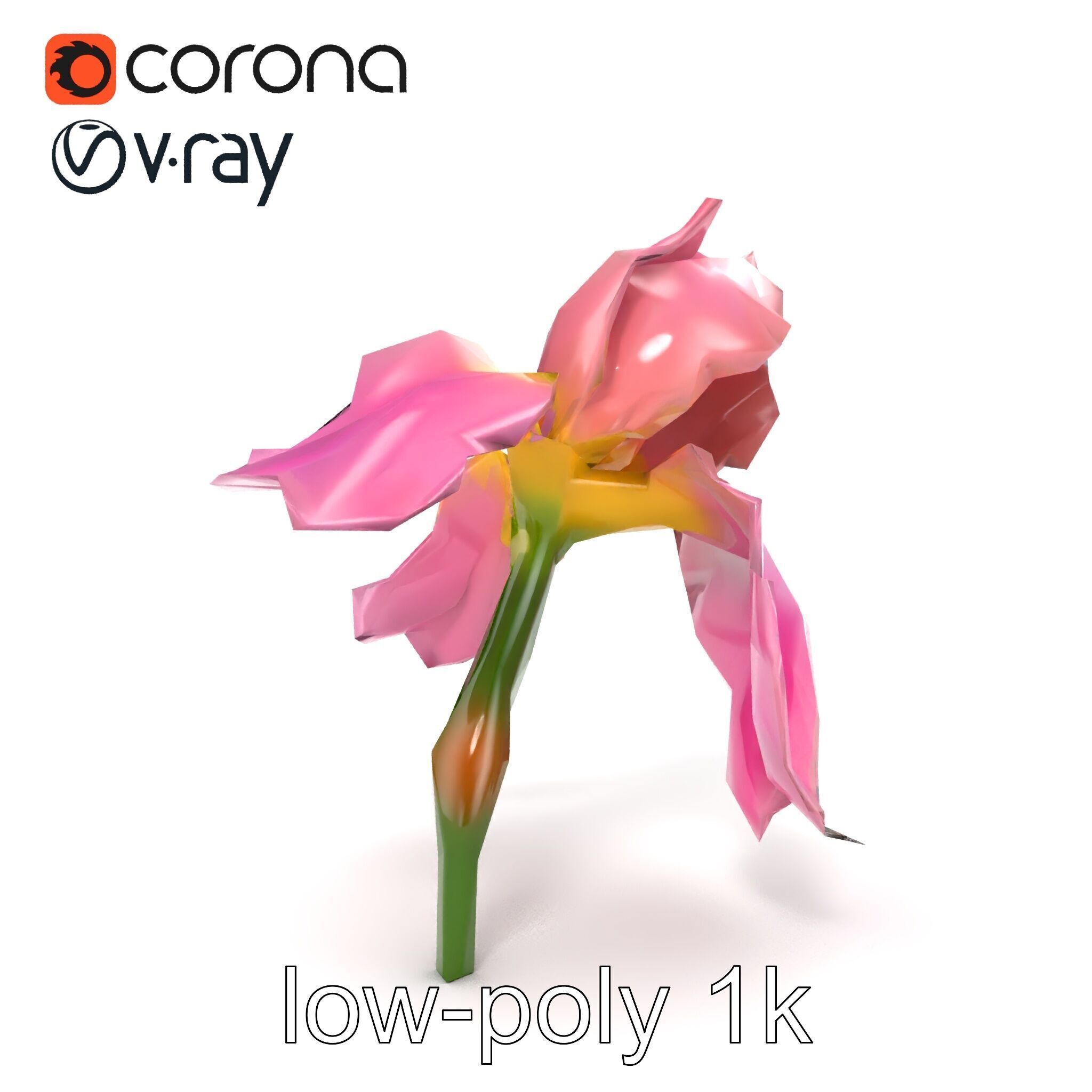 Pink Iris Flower Sculpture model pack Low-poly 3D model_27