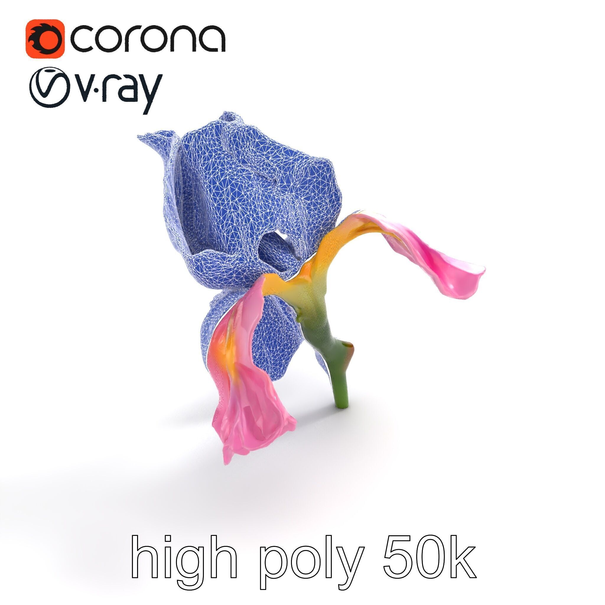 Pink Iris Flower Sculpture model pack Low-poly 3D model_13