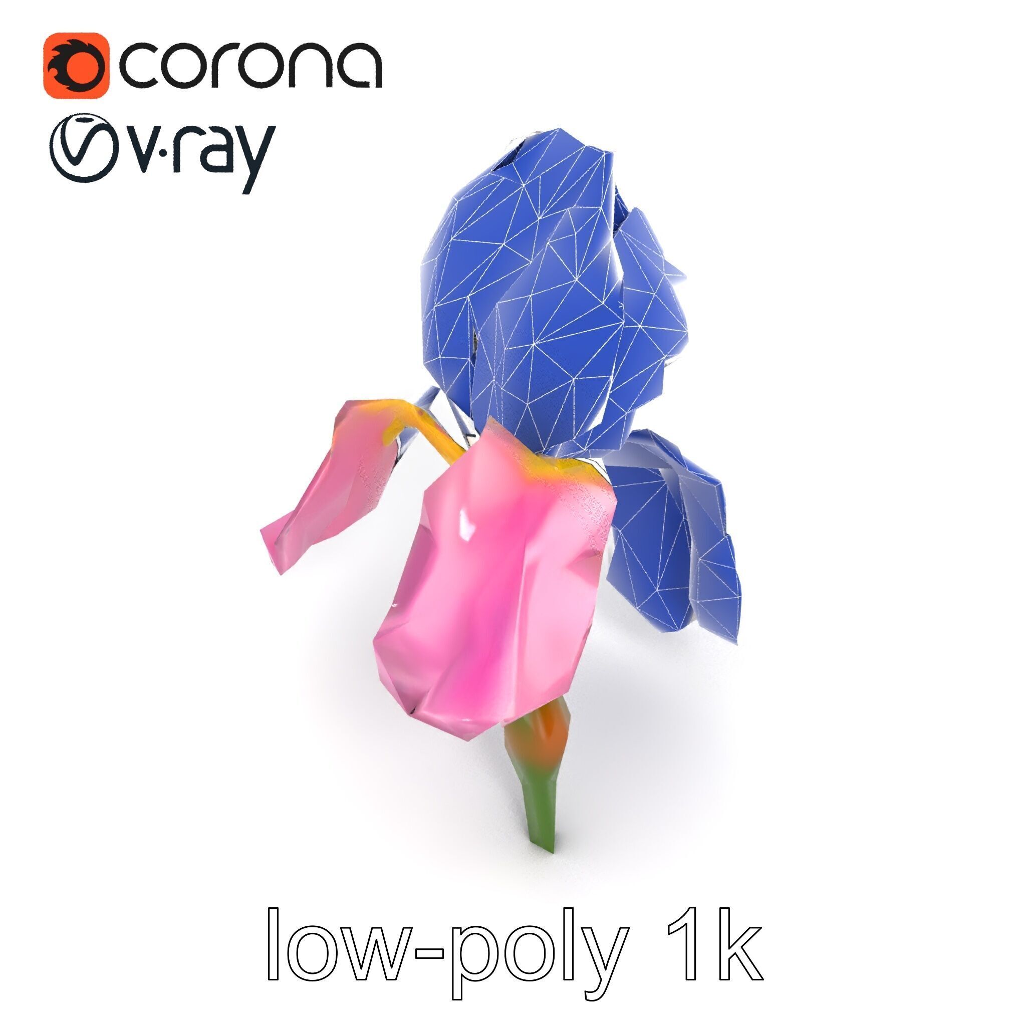 Pink Iris Flower Sculpture model pack Low-poly 3D model_28