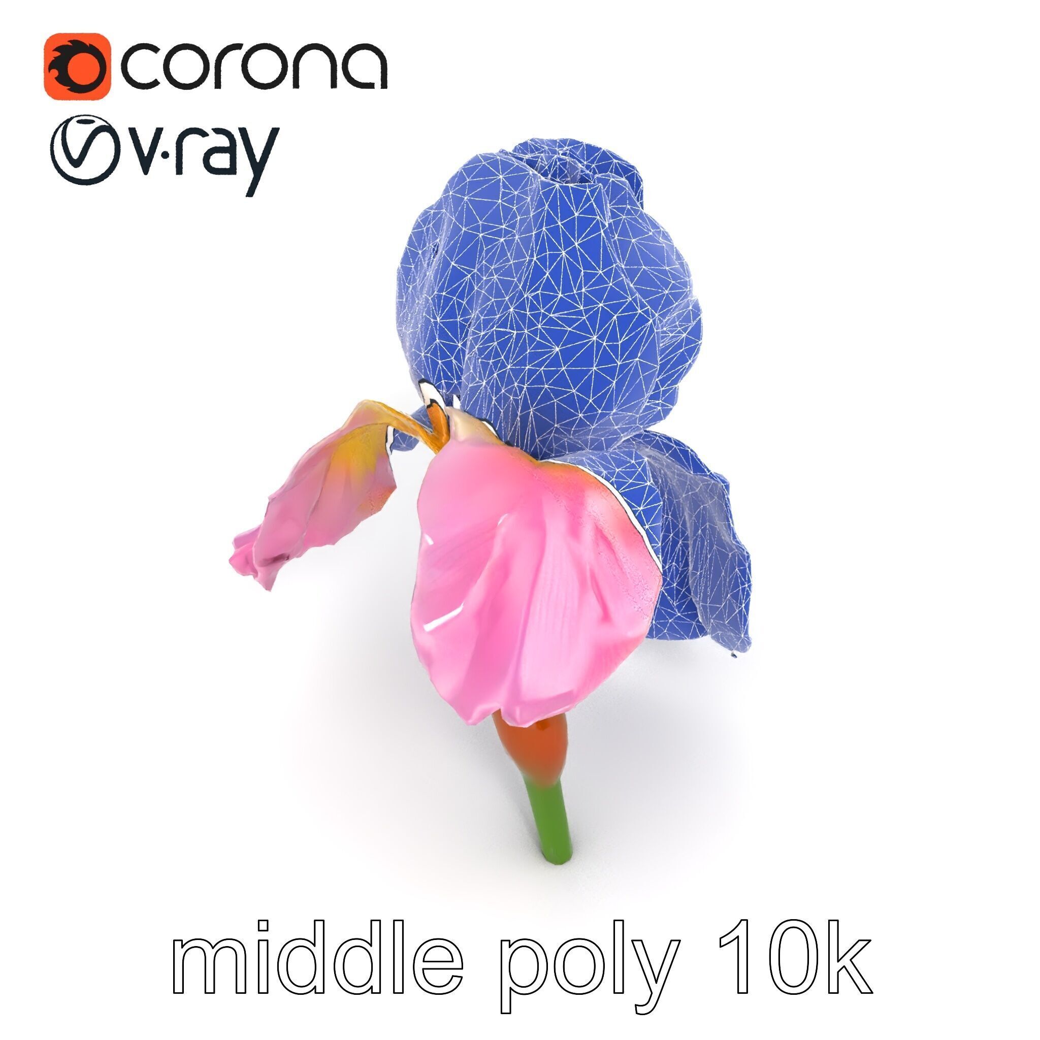 Pink Iris Flower Sculpture model pack Low-poly 3D model_26