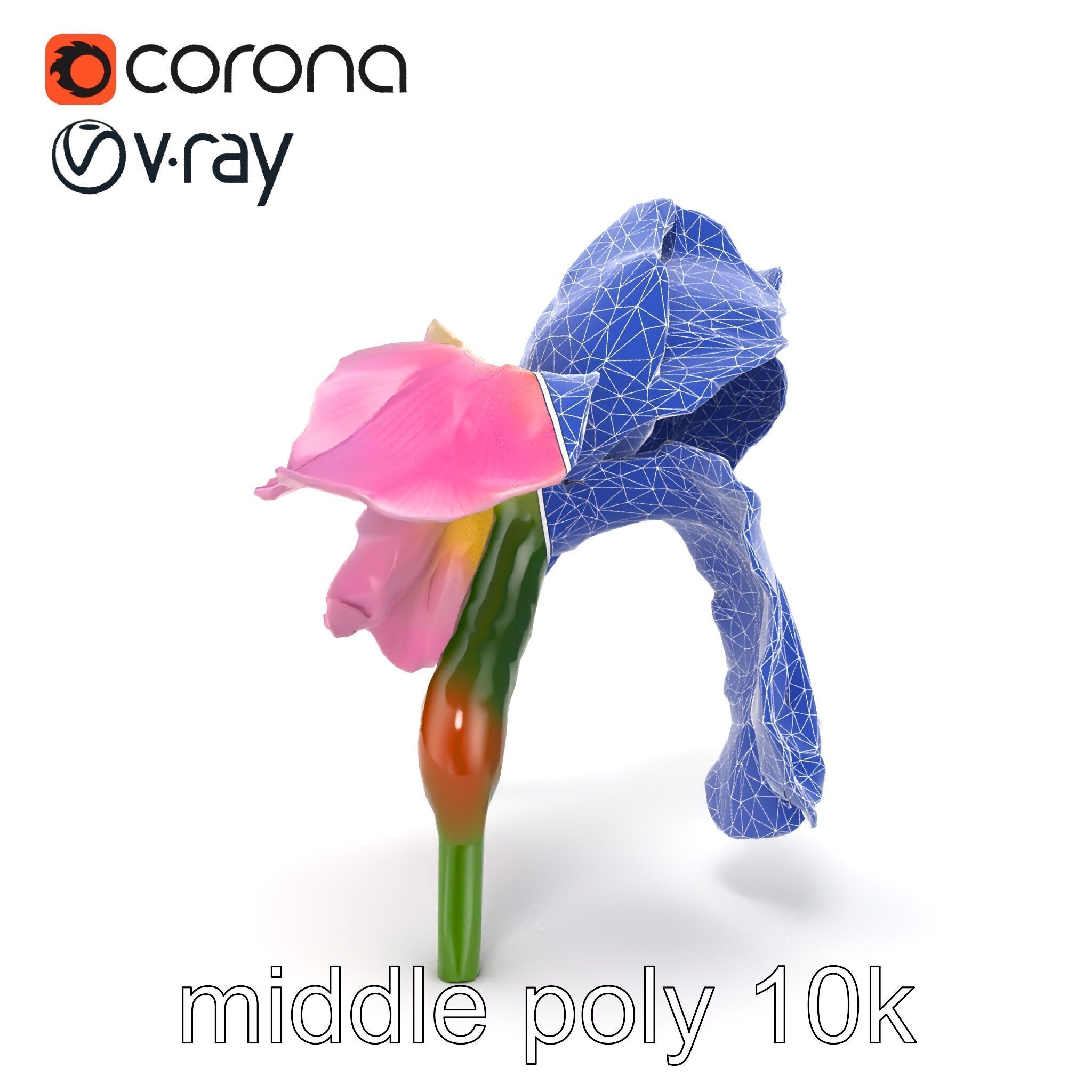 Pink Iris Flower Sculpture model pack Low-poly 3D model_25