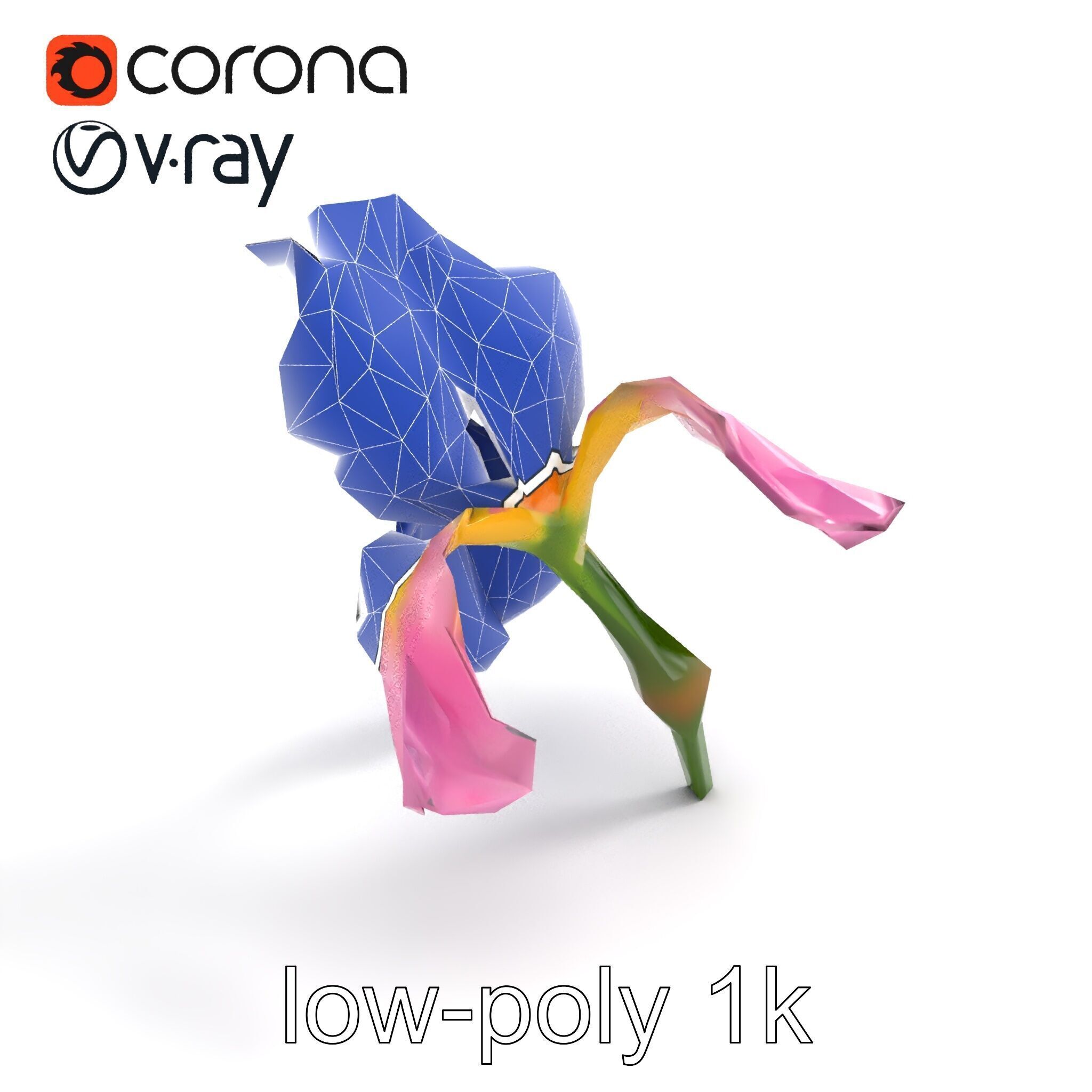 Pink Iris Flower Sculpture model pack Low-poly 3D model_10