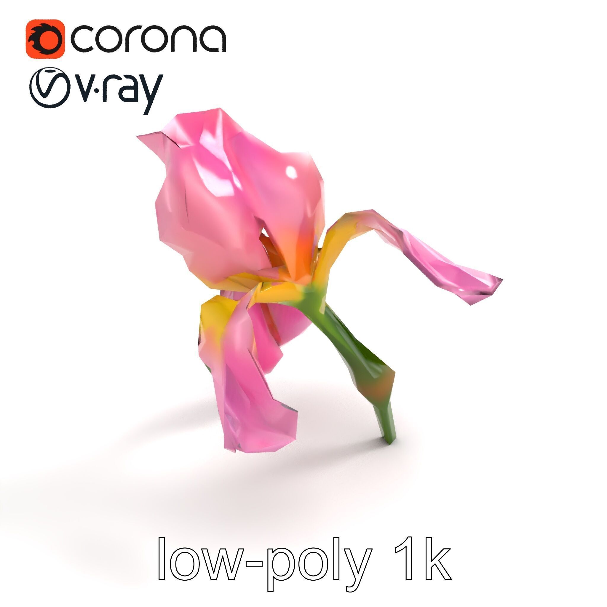 Pink Iris Flower Sculpture model pack Low-poly 3D model_8