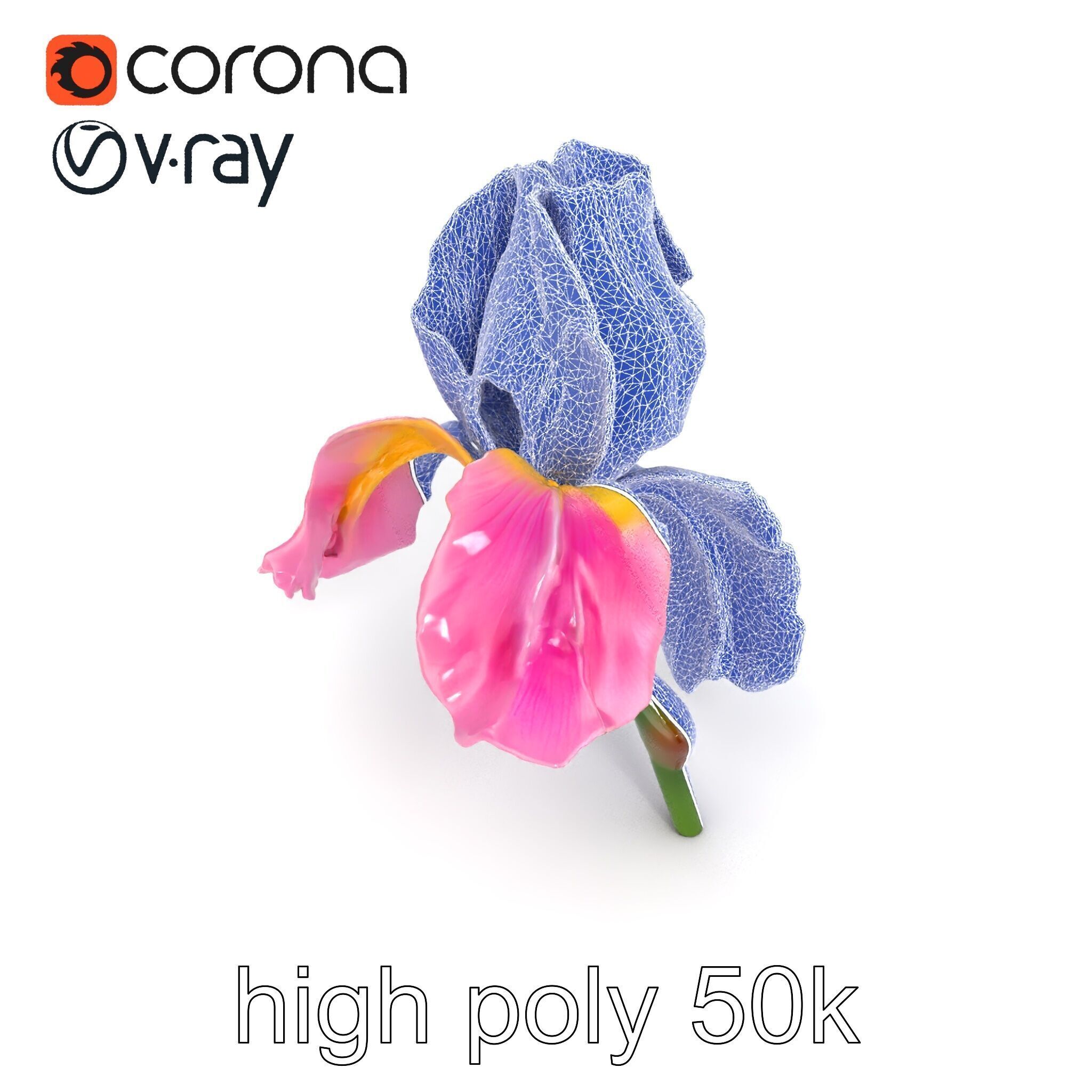 Pink Iris Flower Sculpture model pack Low-poly 3D model_16