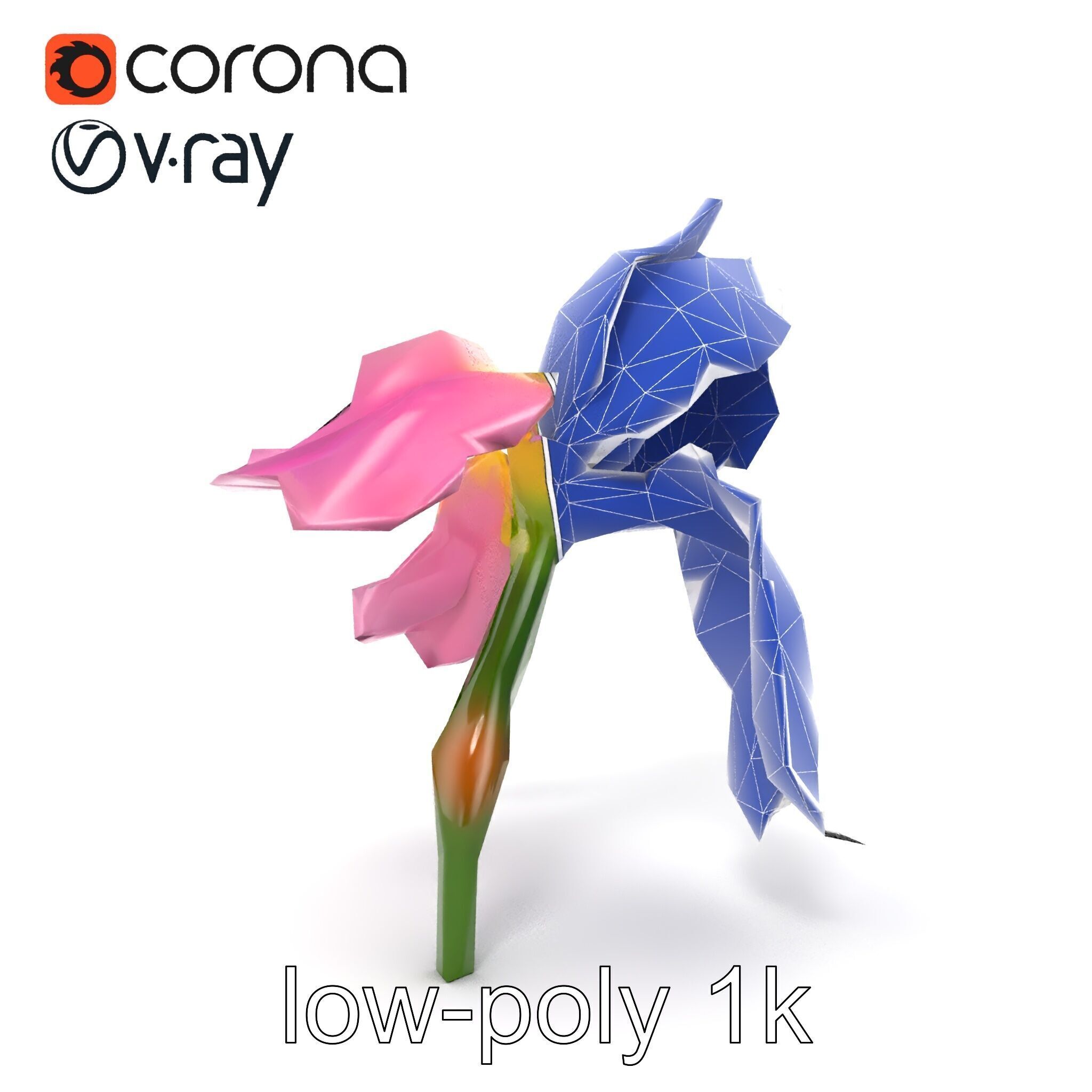 Pink Iris Flower Sculpture model pack Low-poly 3D model_20