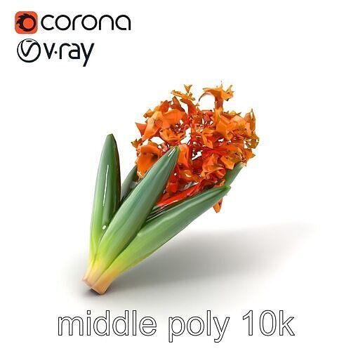 Orange Hyacinth Floral Model Pack with Detailed Textures Low-poly 3D model