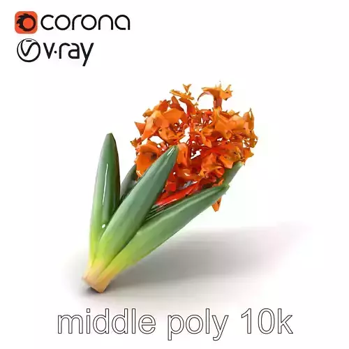 Orange Hyacinth Floral Model Pack with Detailed Textures Low-poly 3D model