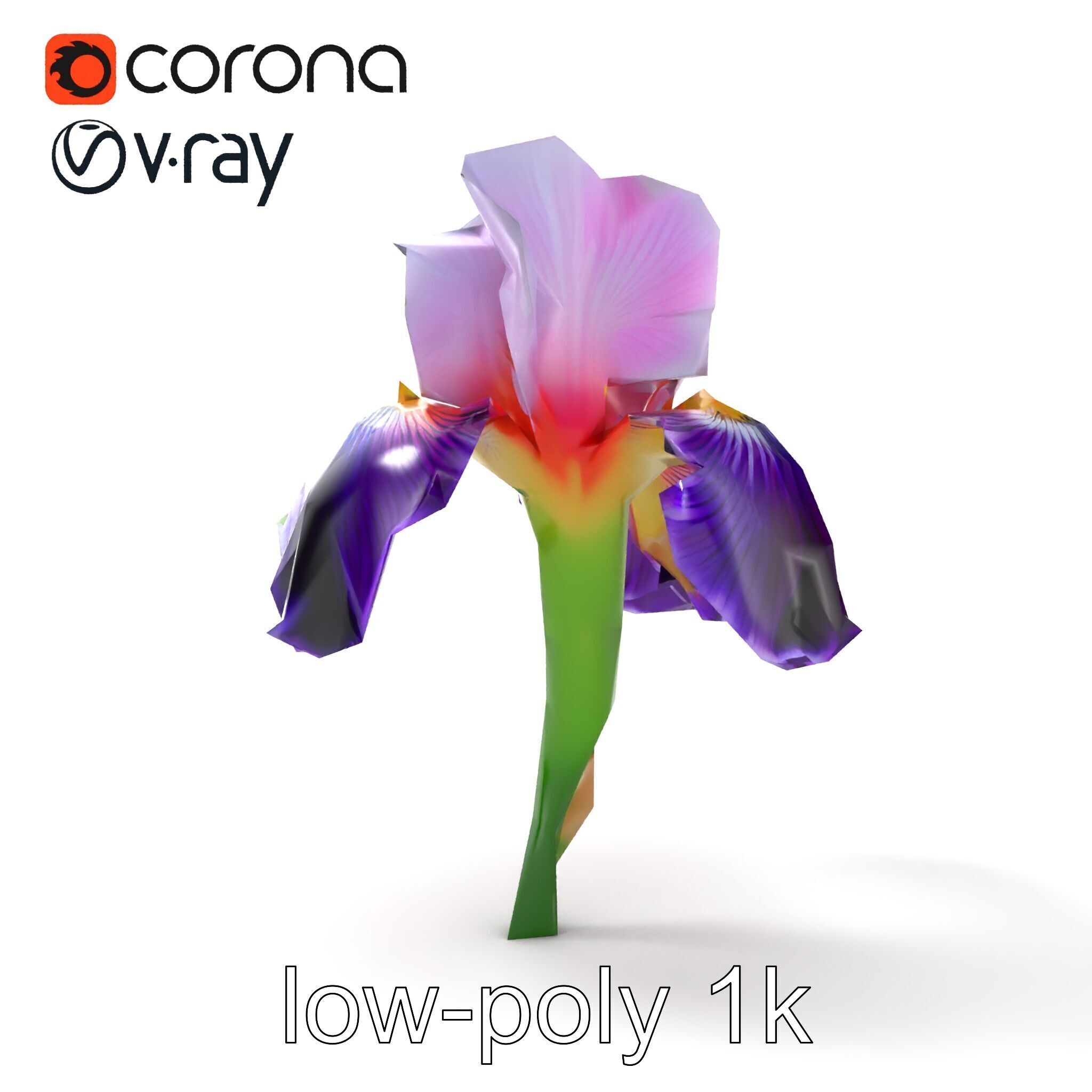 Double Iris Flower Layered Petals model pack Low-poly 3D model_23