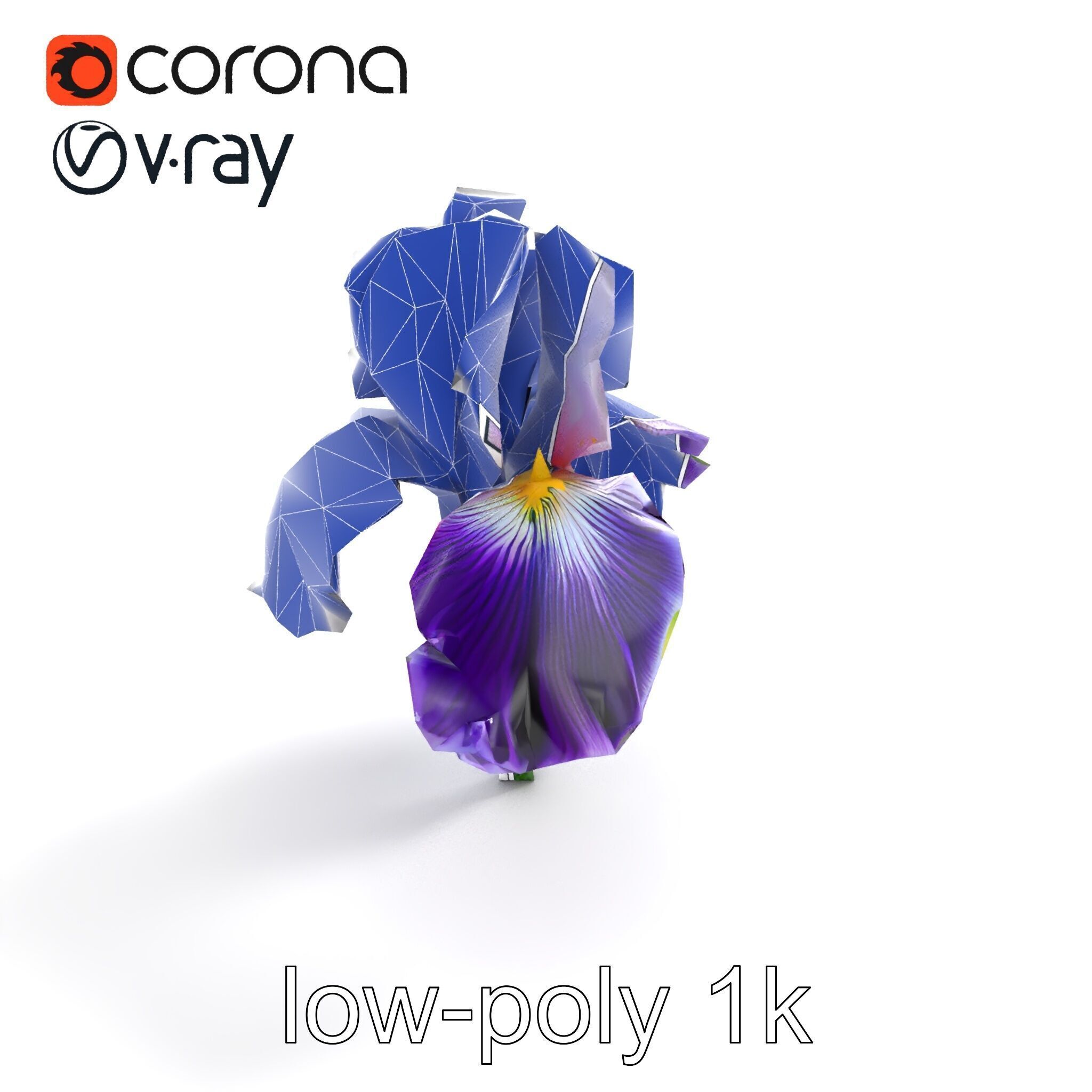 Double Iris Flower Layered Petals model pack Low-poly 3D model_11
