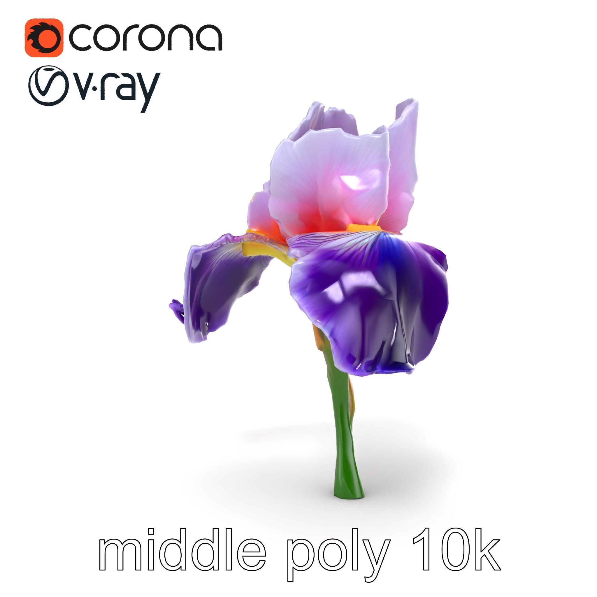 Double Iris Flower Layered Petals model pack Low-poly 3D model_22