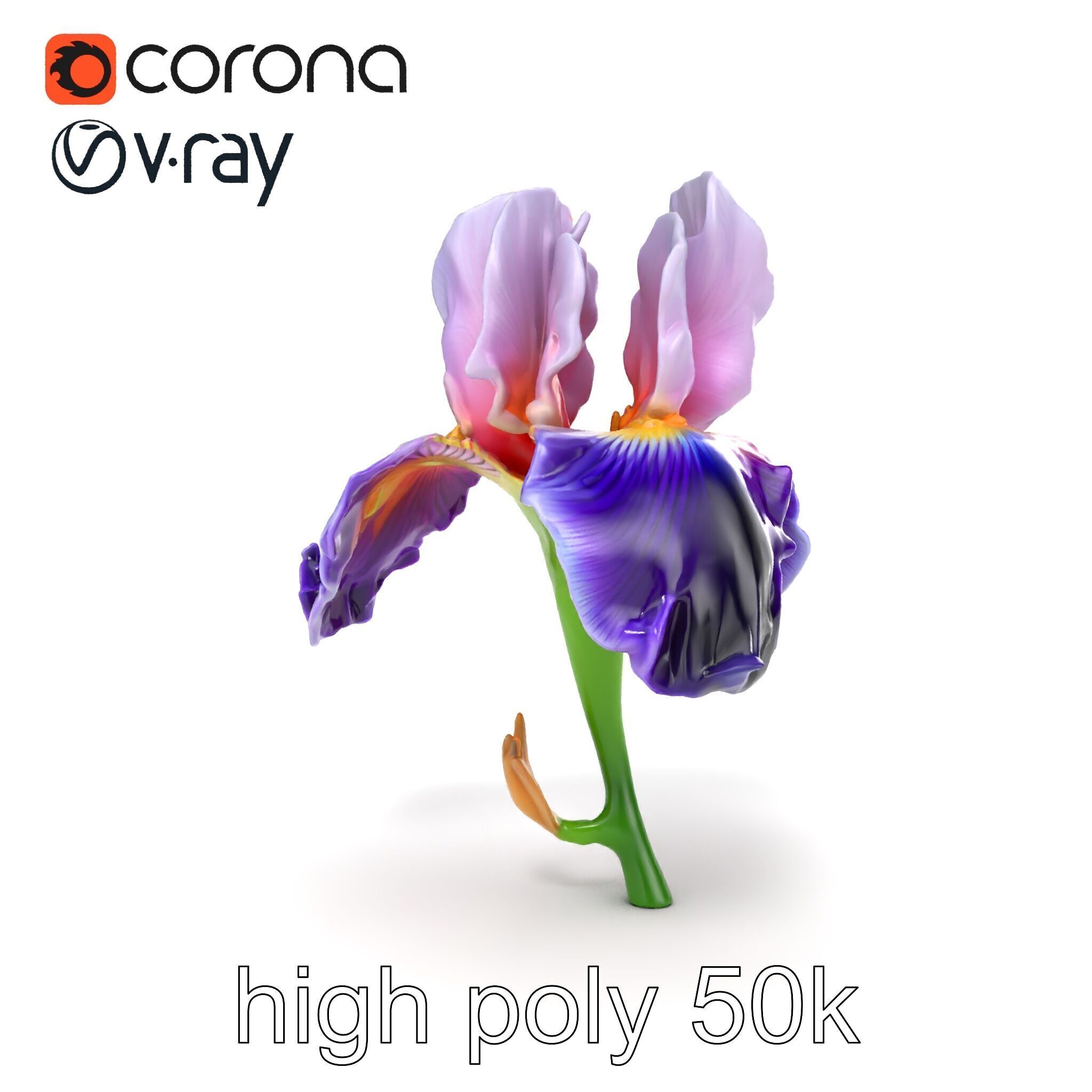 Double Iris Flower Layered Petals model pack Low-poly 3D model_29